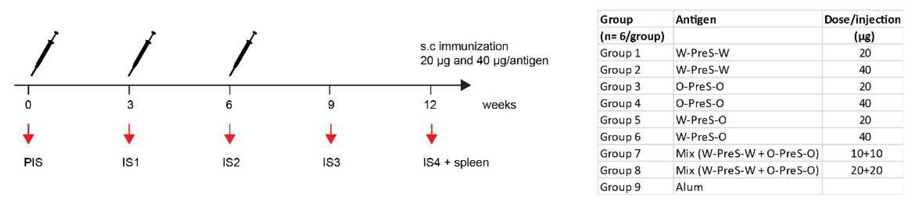 Preprints 96396 g002