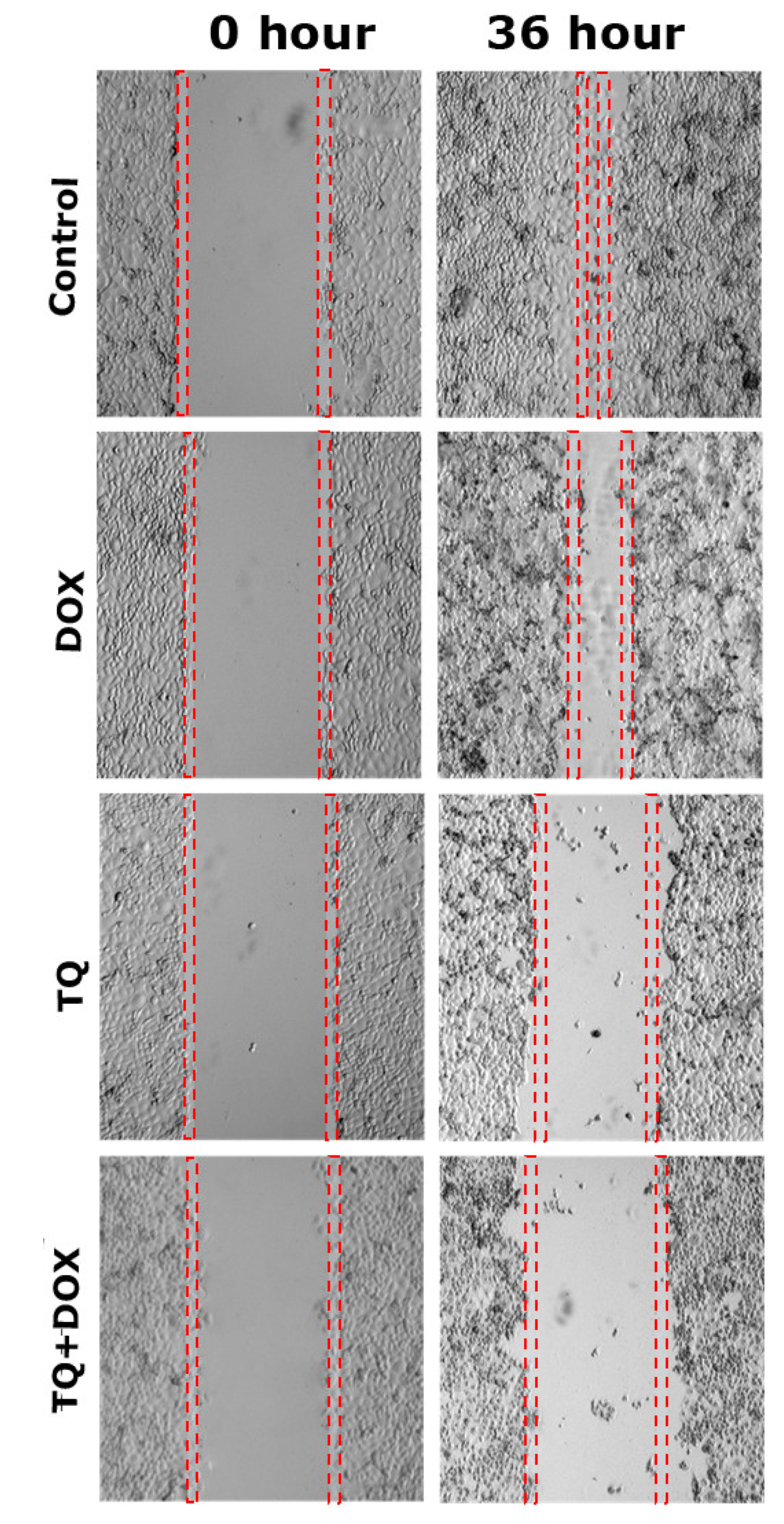 Preprints 113709 g004