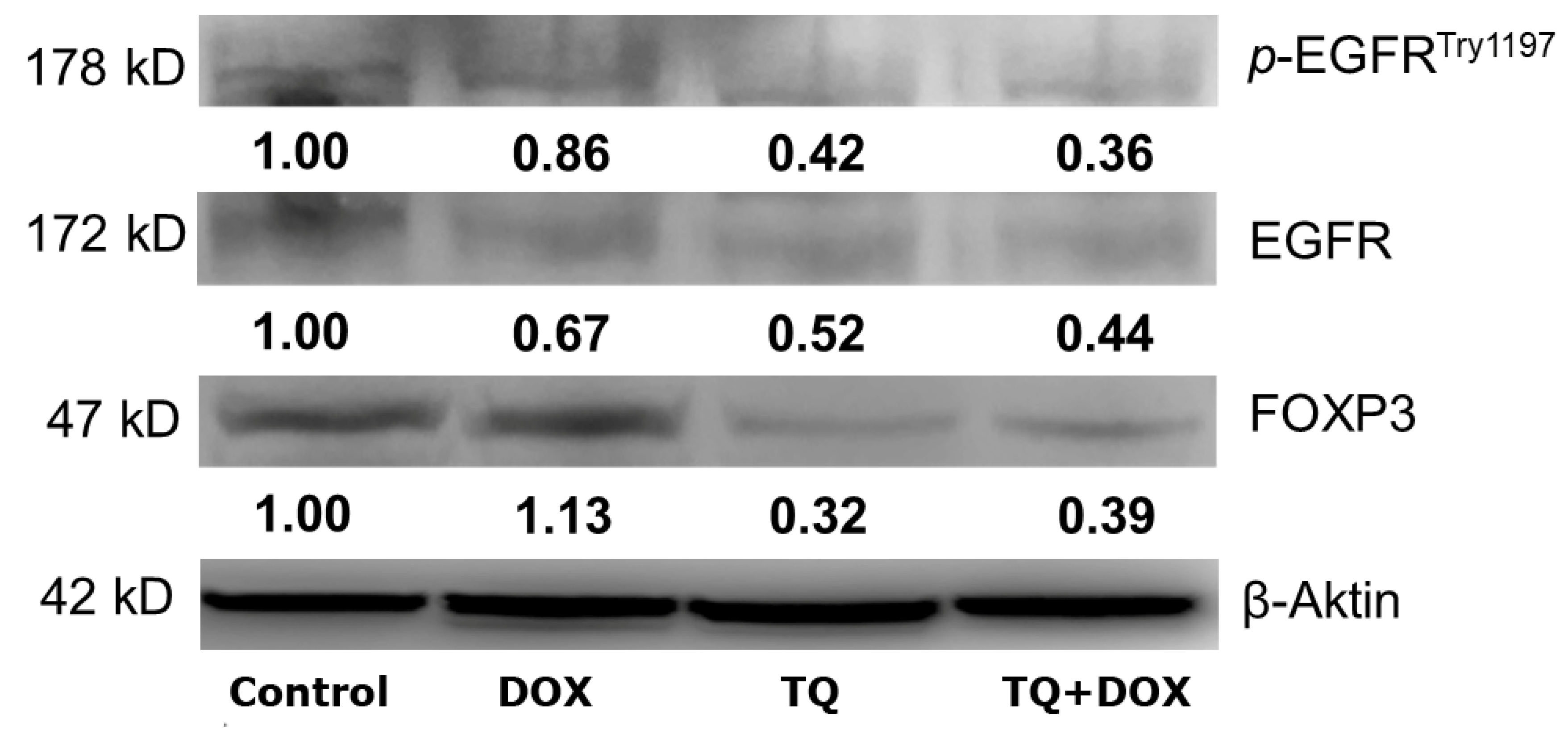 Preprints 113709 g007