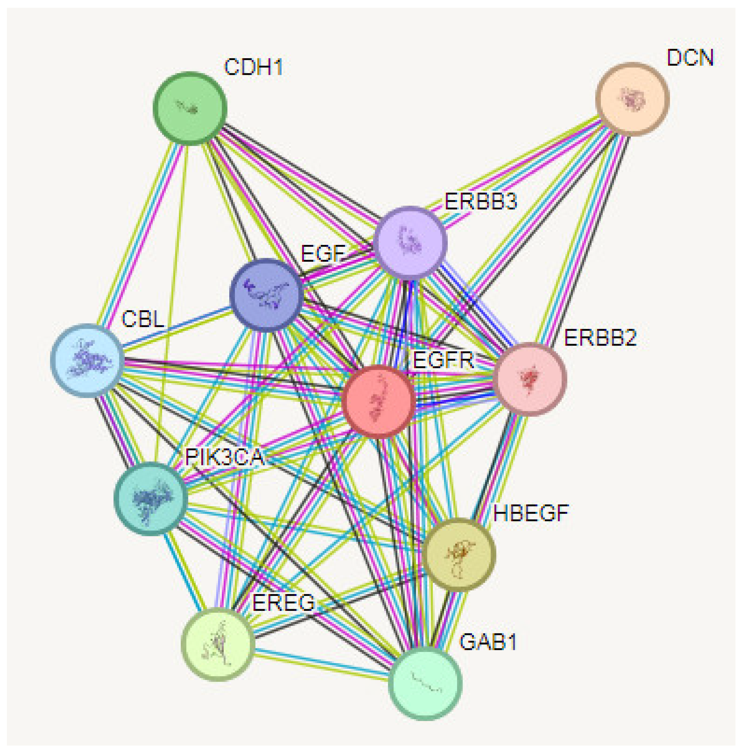 Preprints 113709 g008