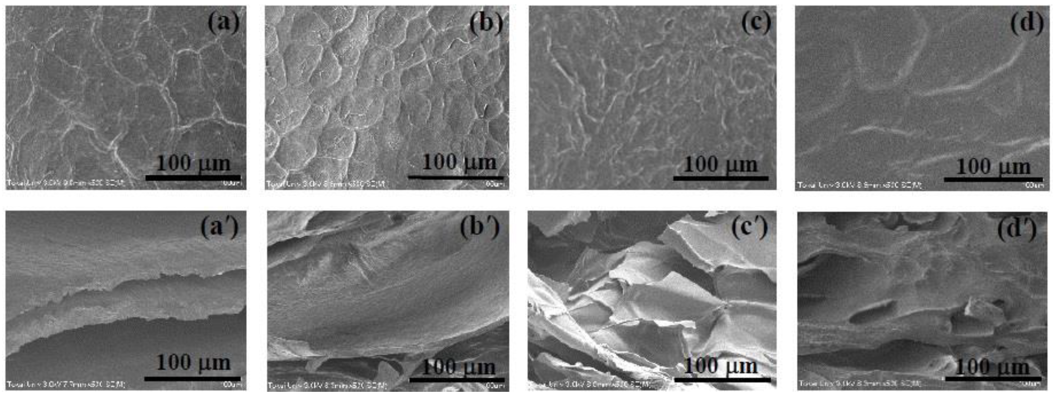 Preprints 91350 g008