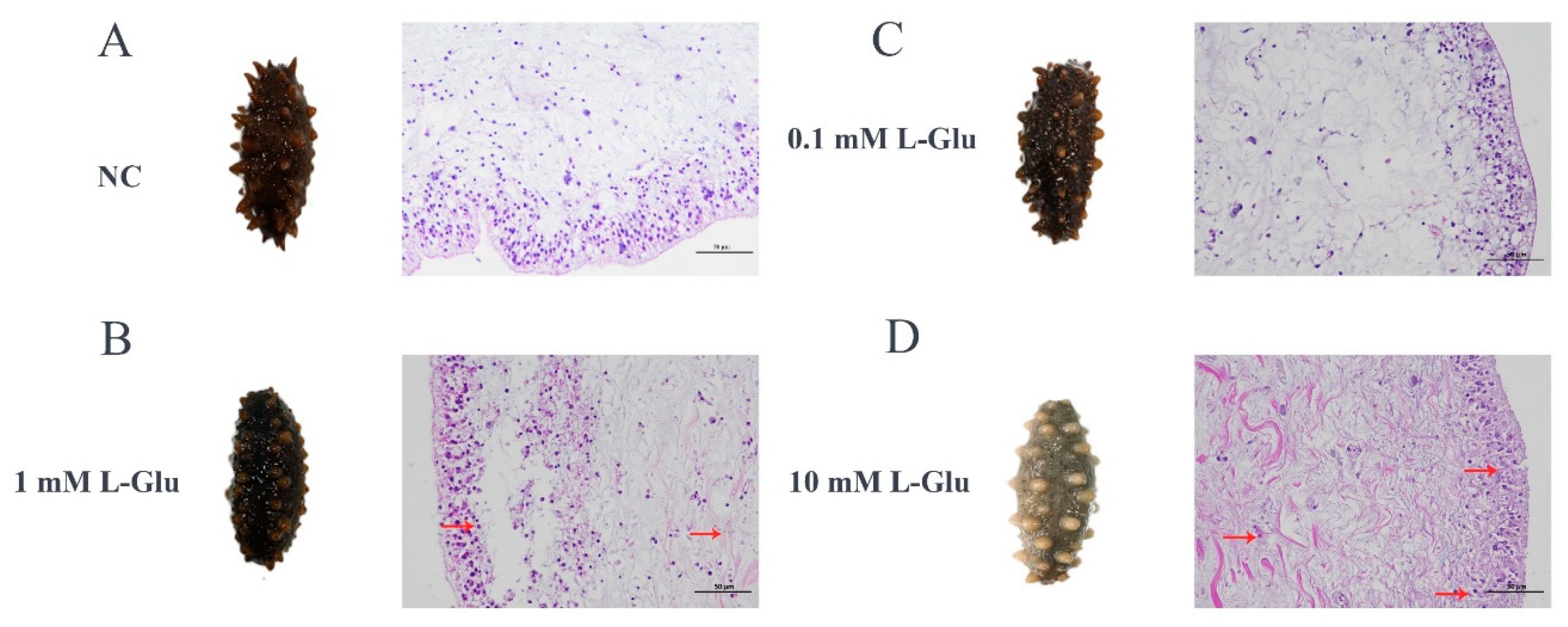 Preprints 81226 g002