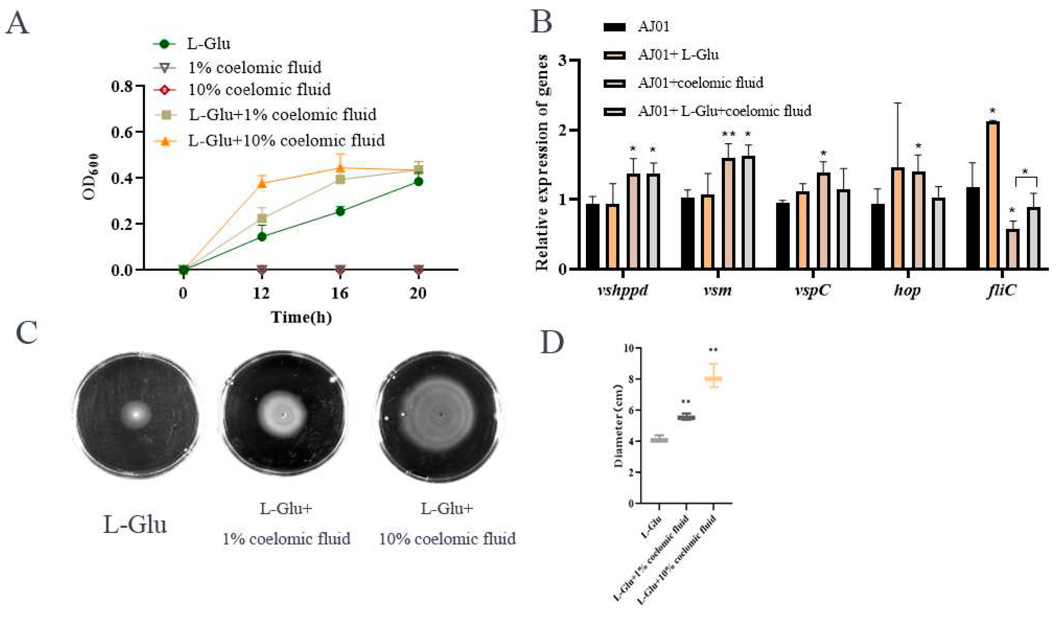 Preprints 81226 g005