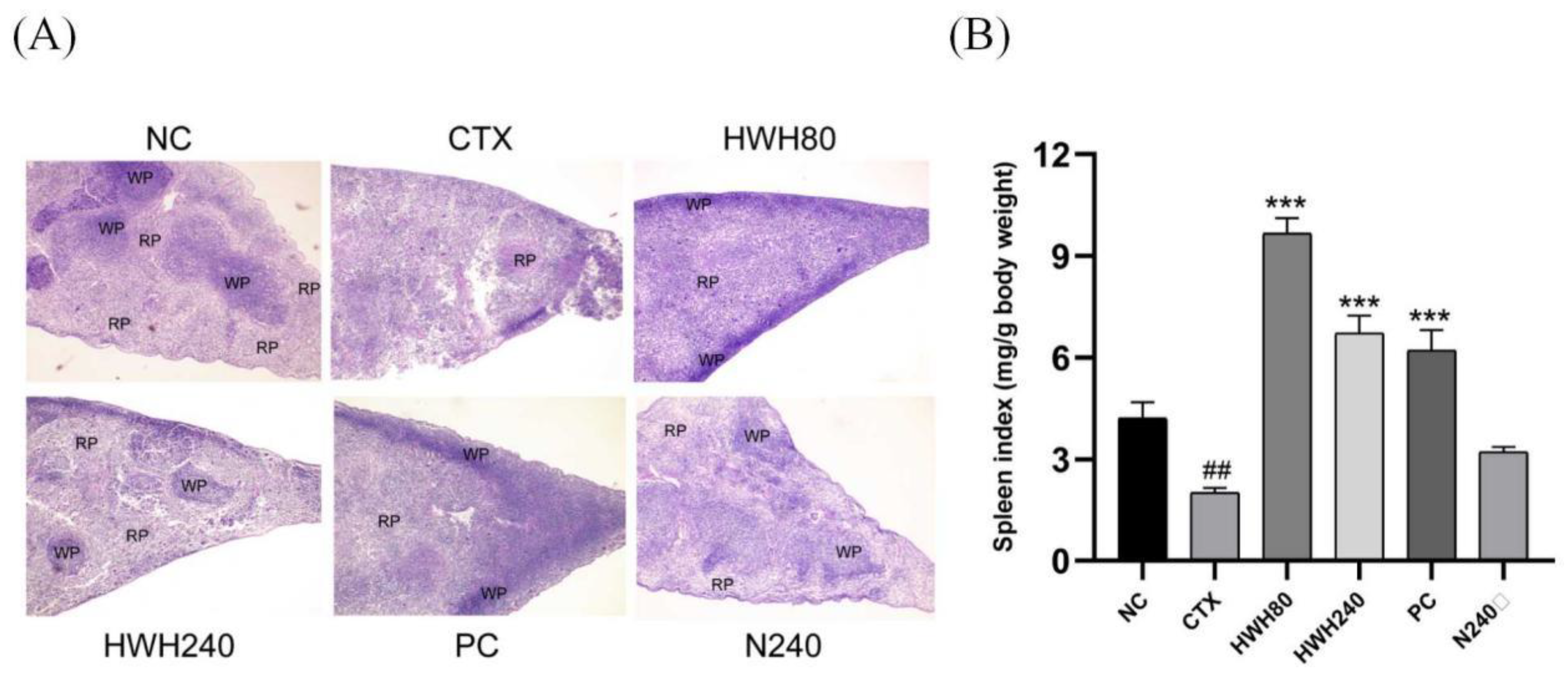 Preprints 79365 g002