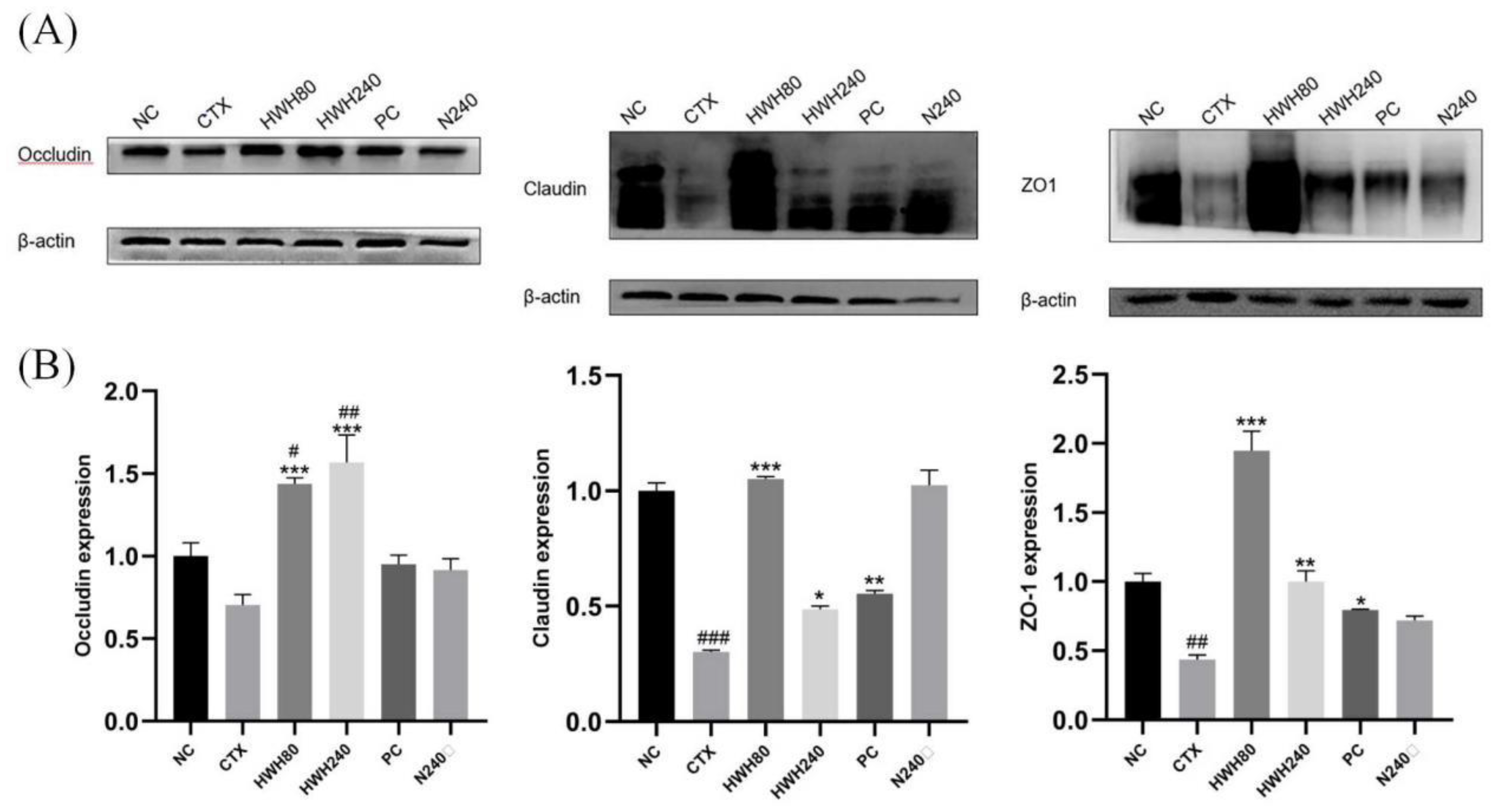 Preprints 79365 g004