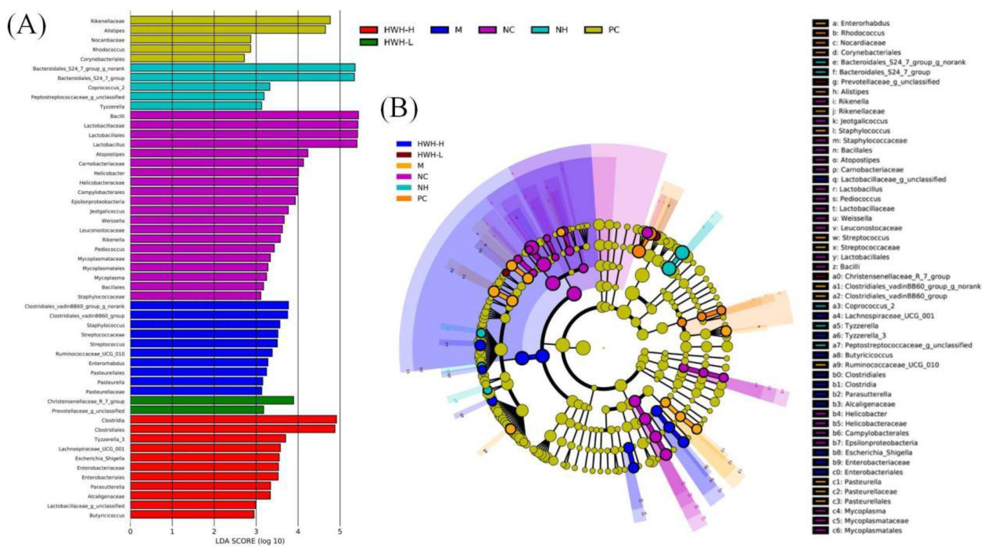 Preprints 79365 g009