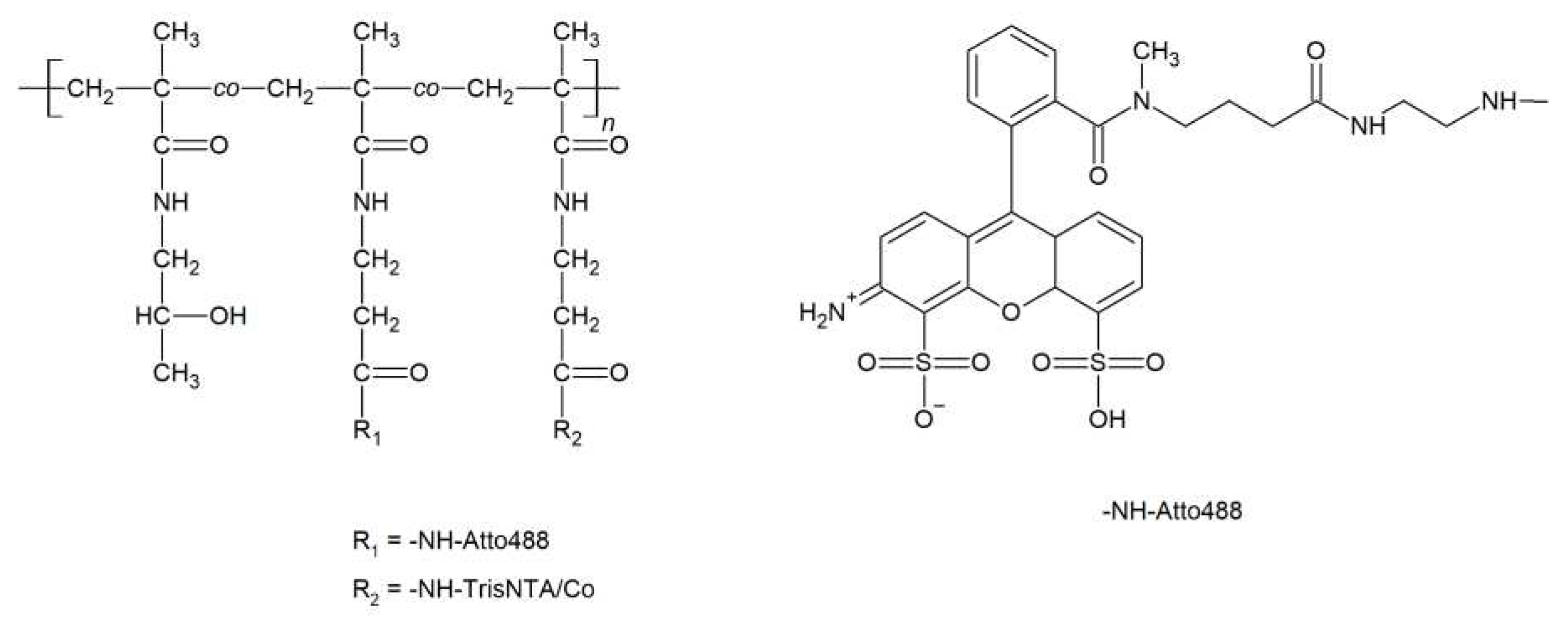 Preprints 78198 g003