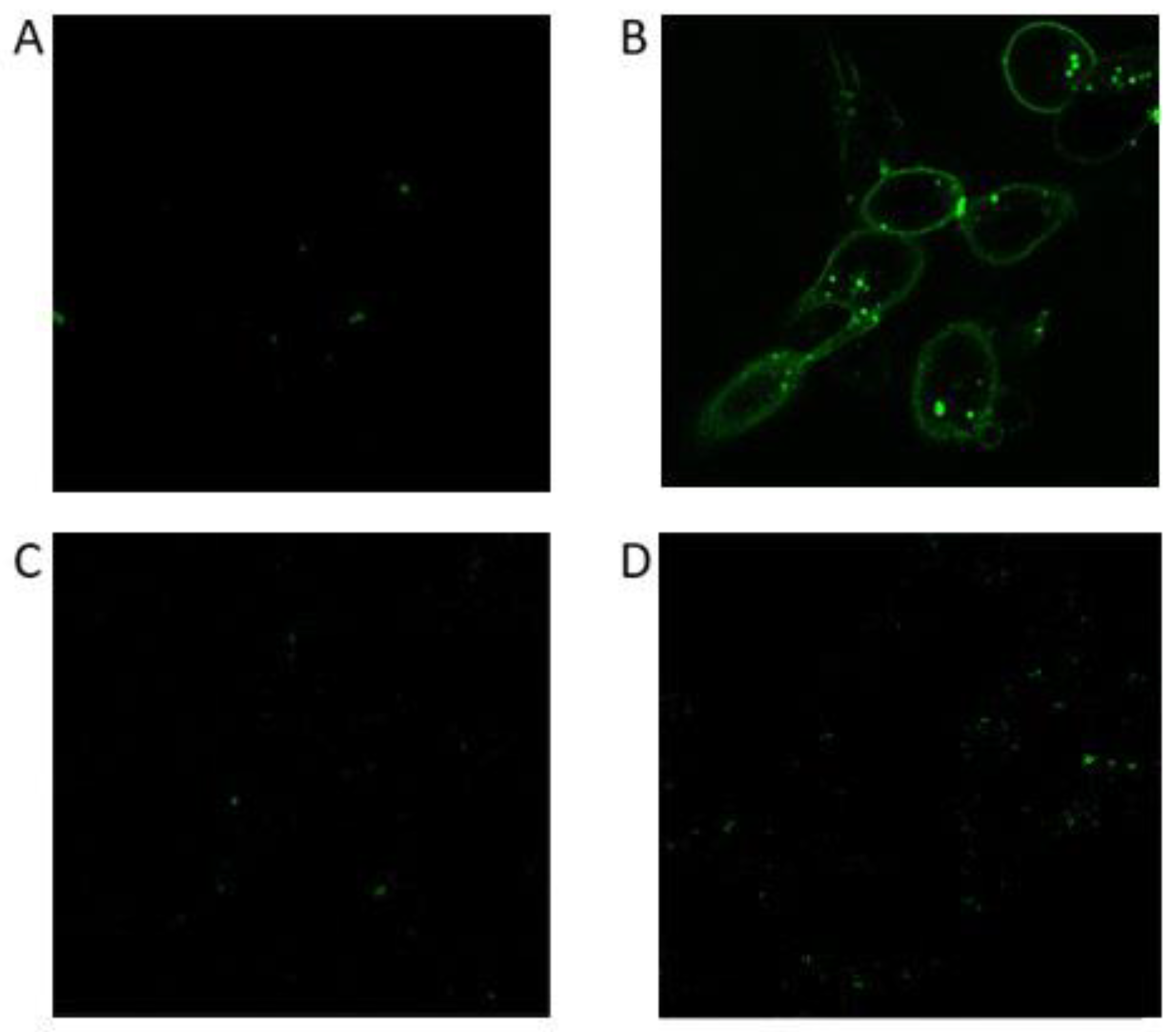 Preprints 78198 g008