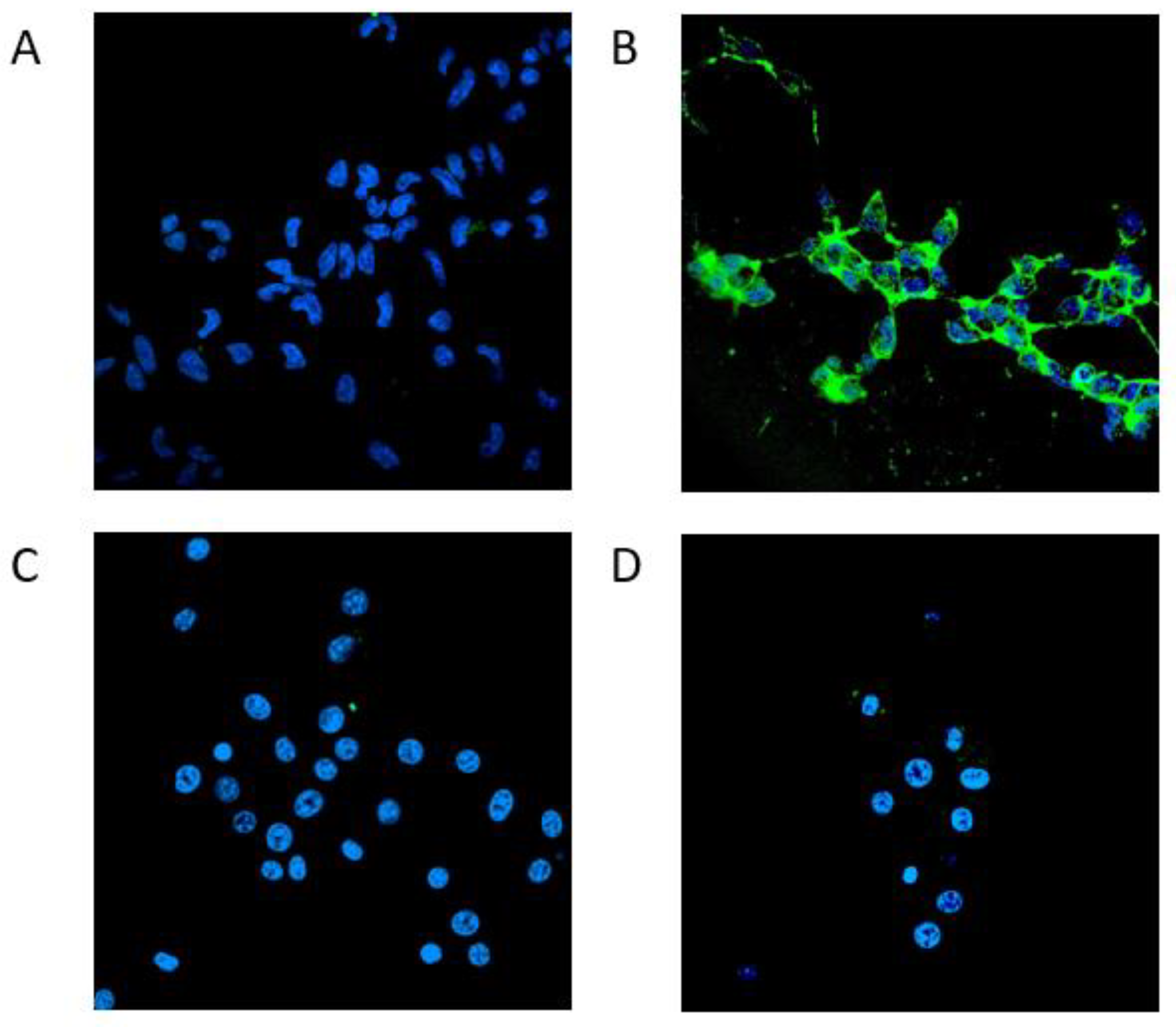 Preprints 78198 g009