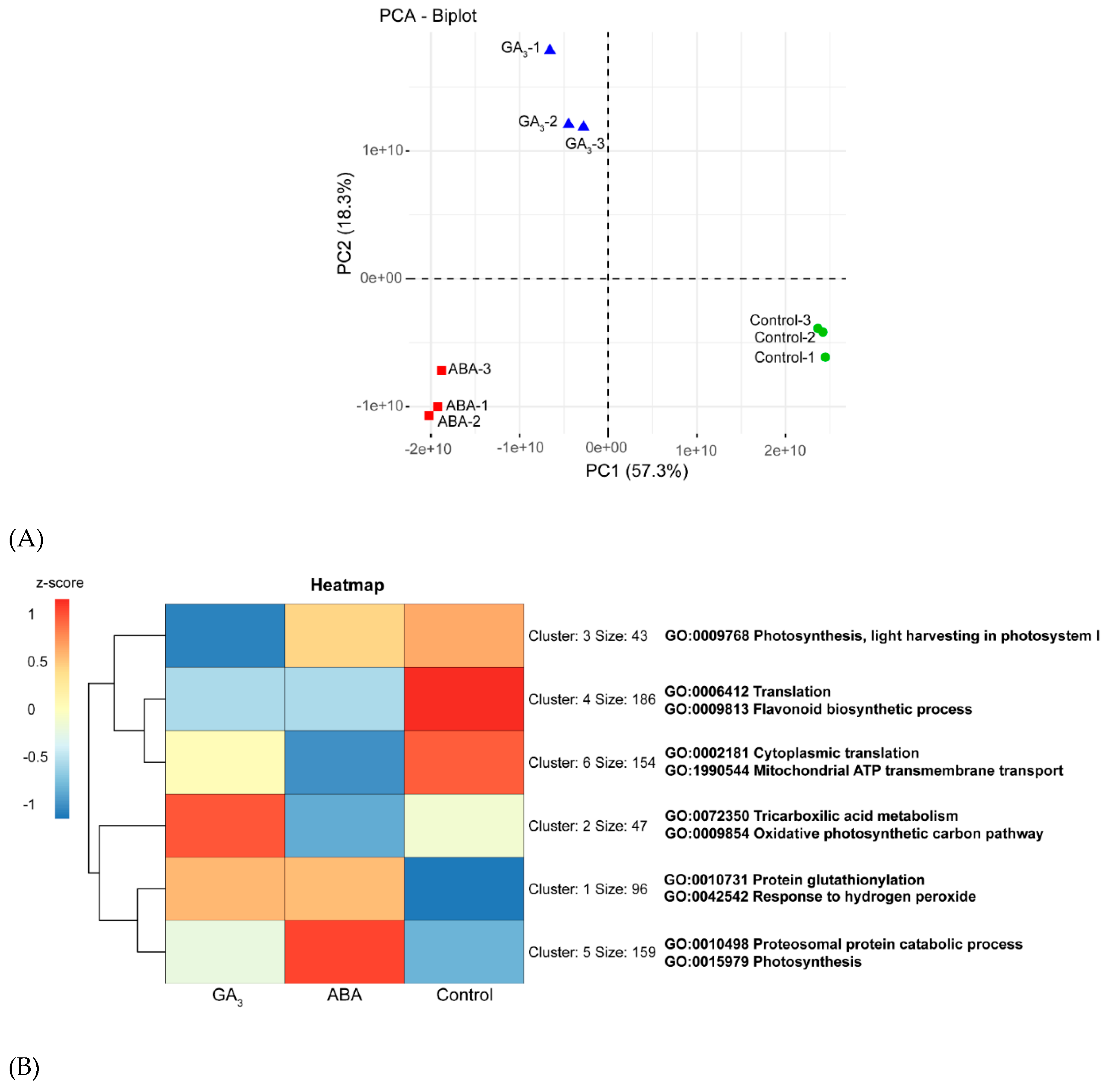 Preprints 114845 g004a