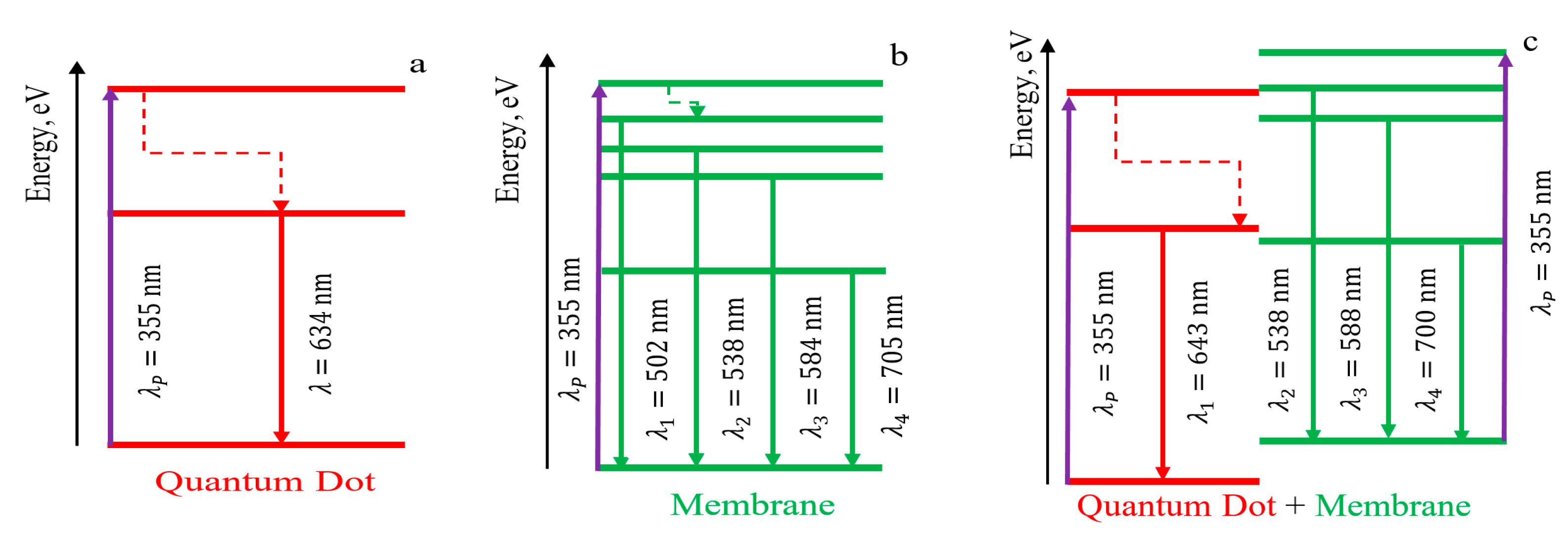 Preprints 108624 g007