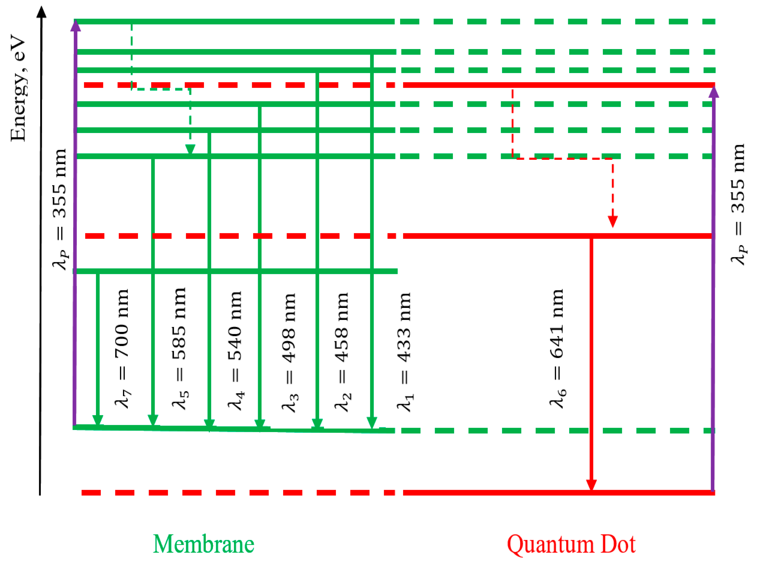 Preprints 108624 g008