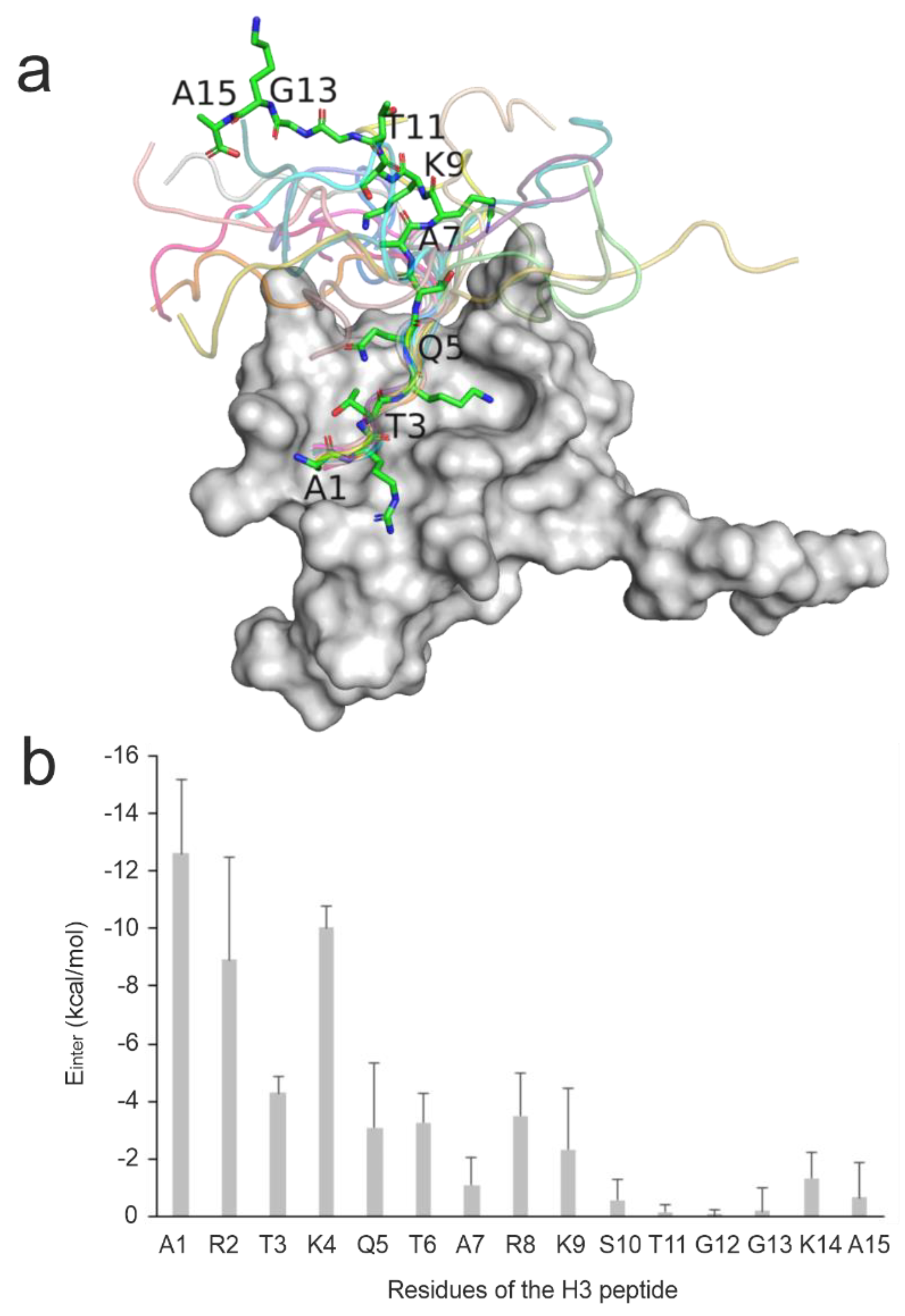 Preprints 104881 g001