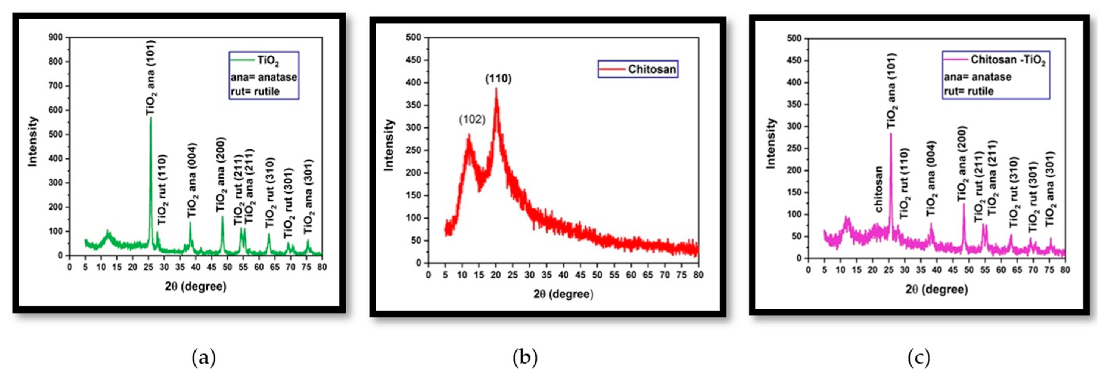 Preprints 79875 g004