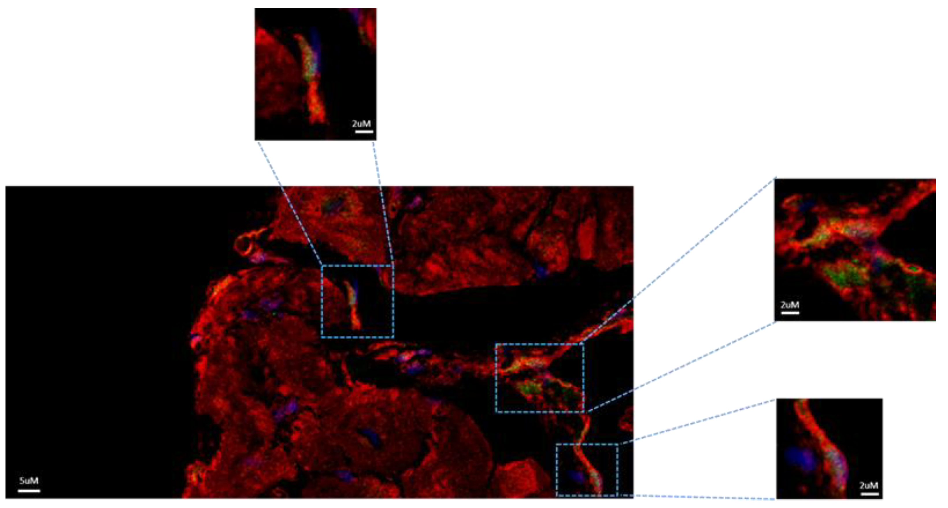 Preprints 111525 g004