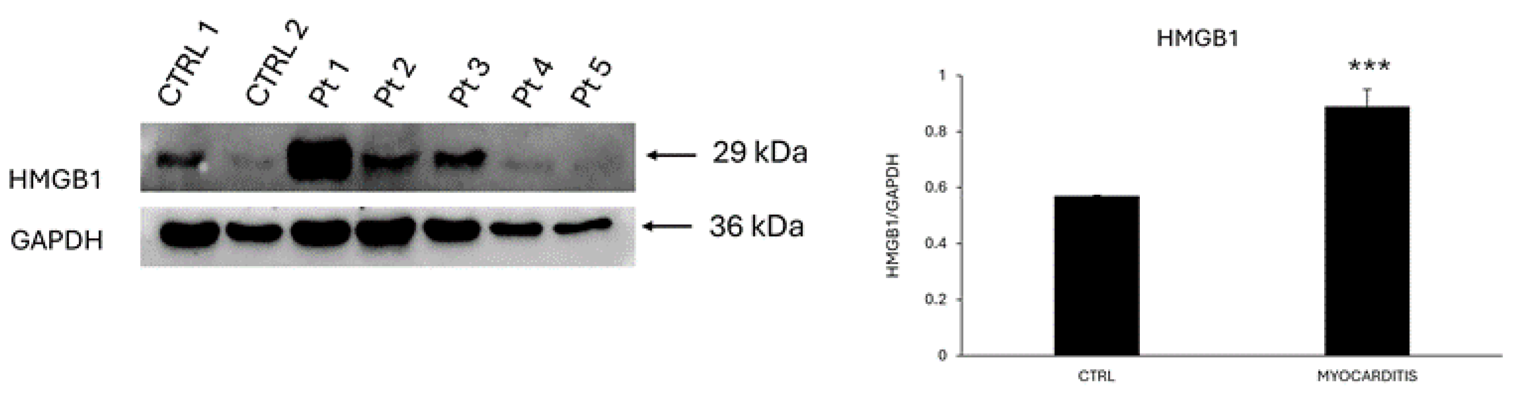 Preprints 111525 g005