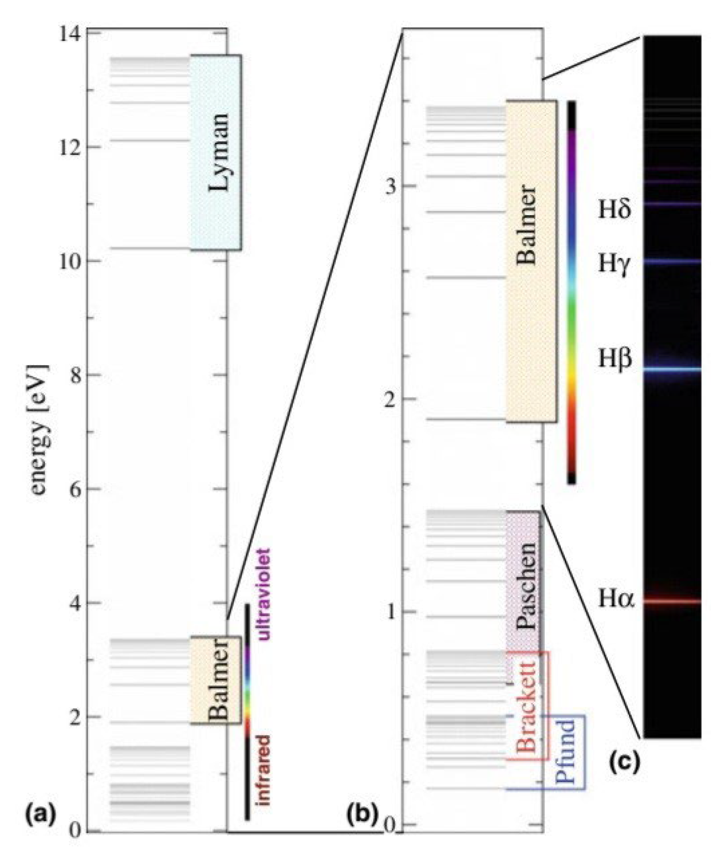 Preprints 119379 g002