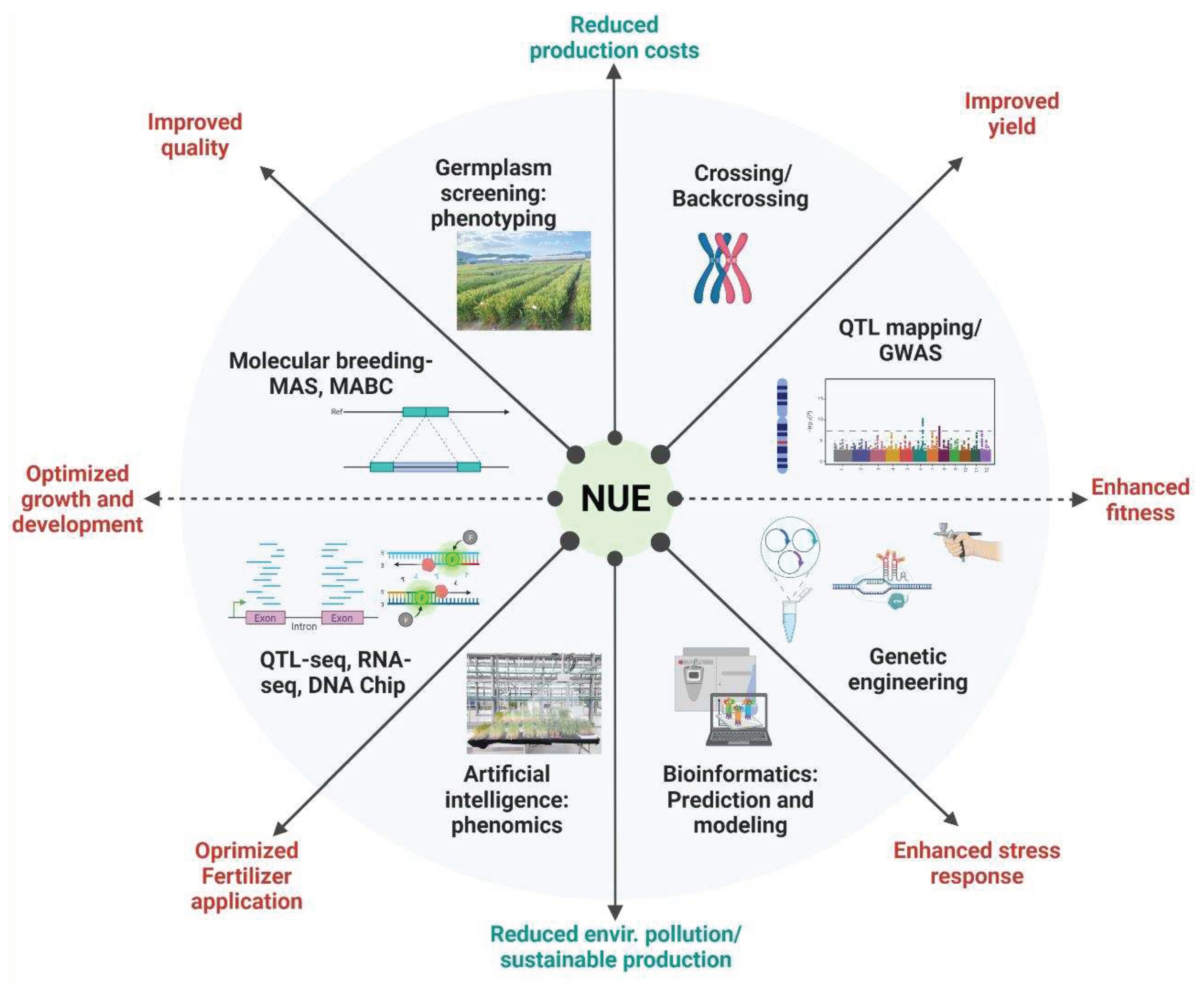 Preprints 84343 g006