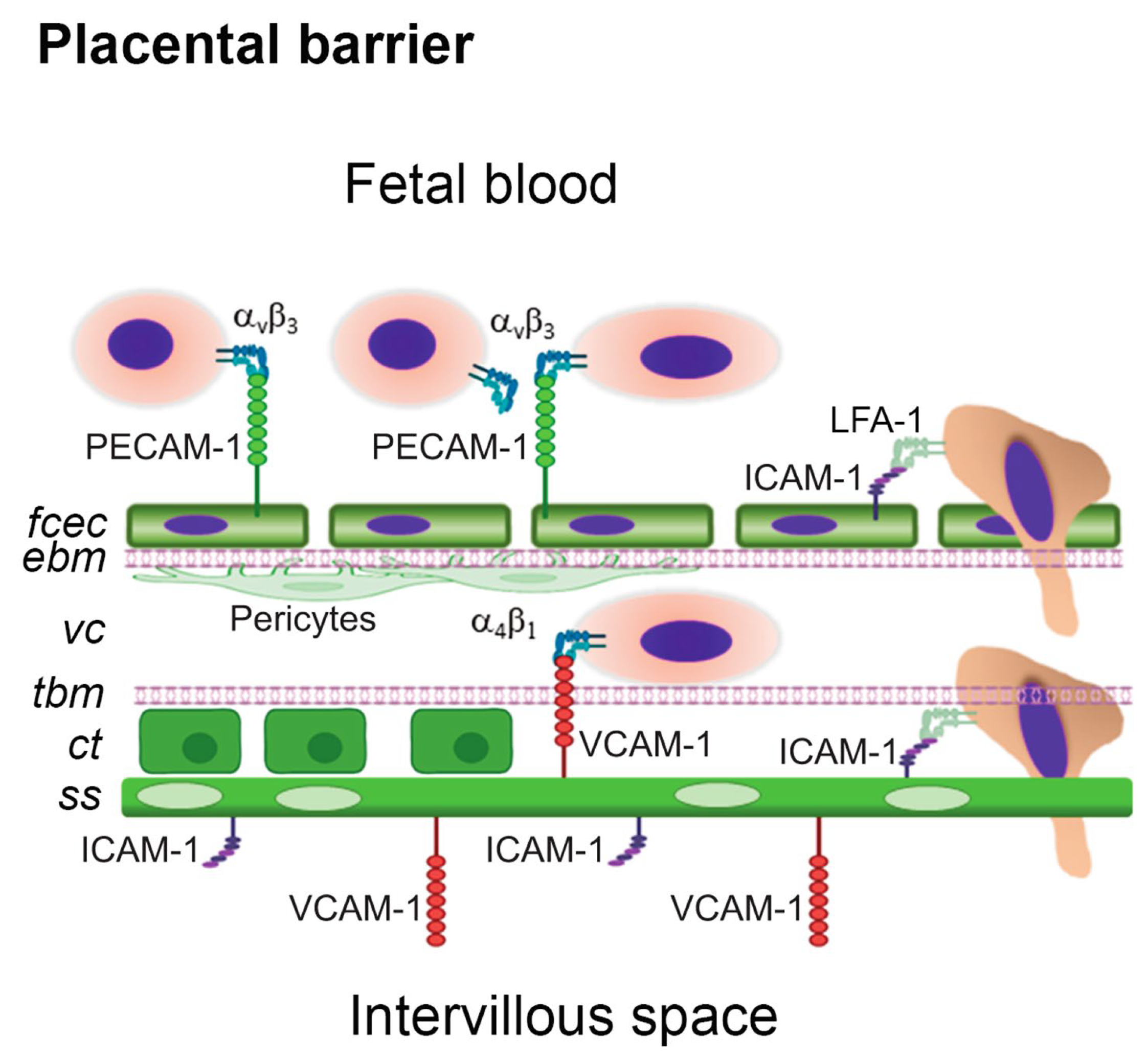 Preprints 86382 g003