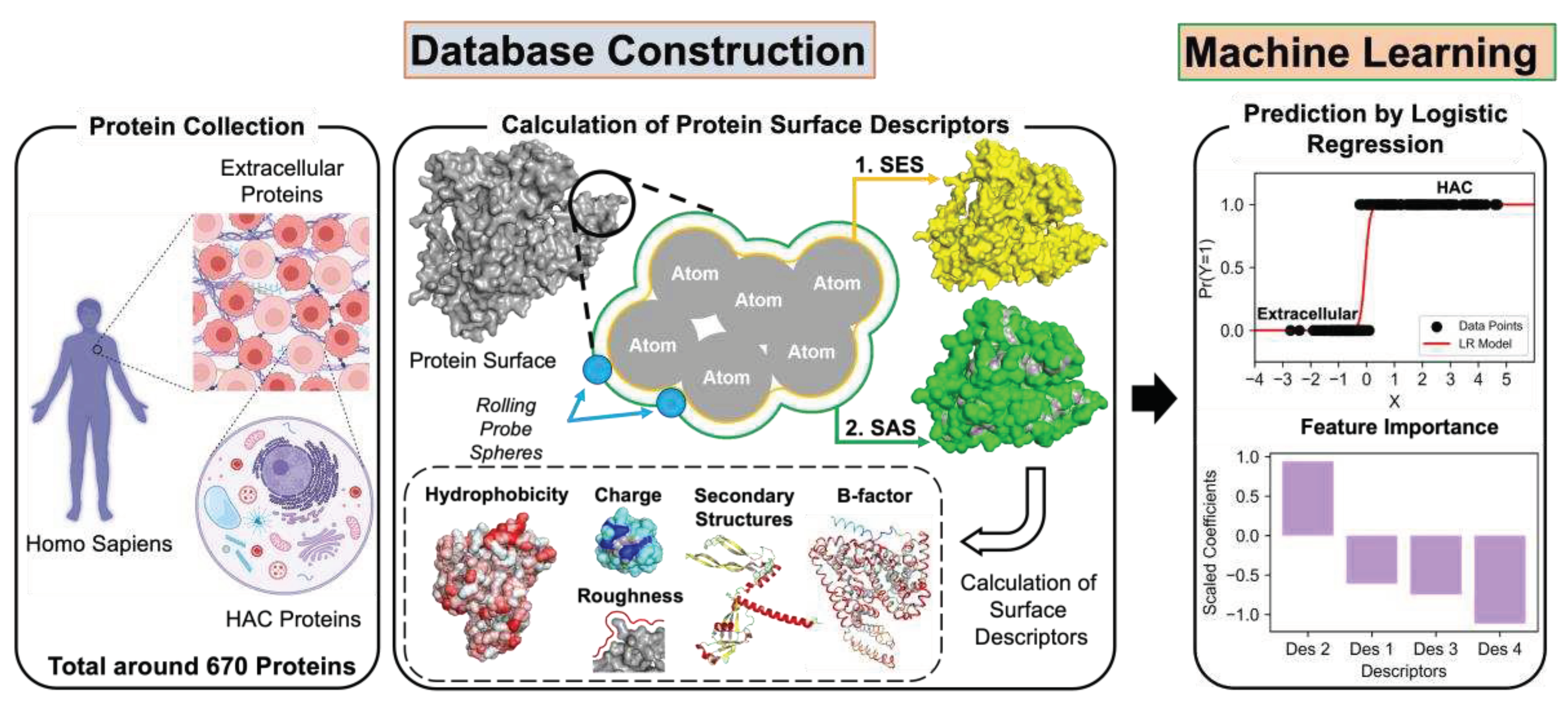 Preprints 93435 g001