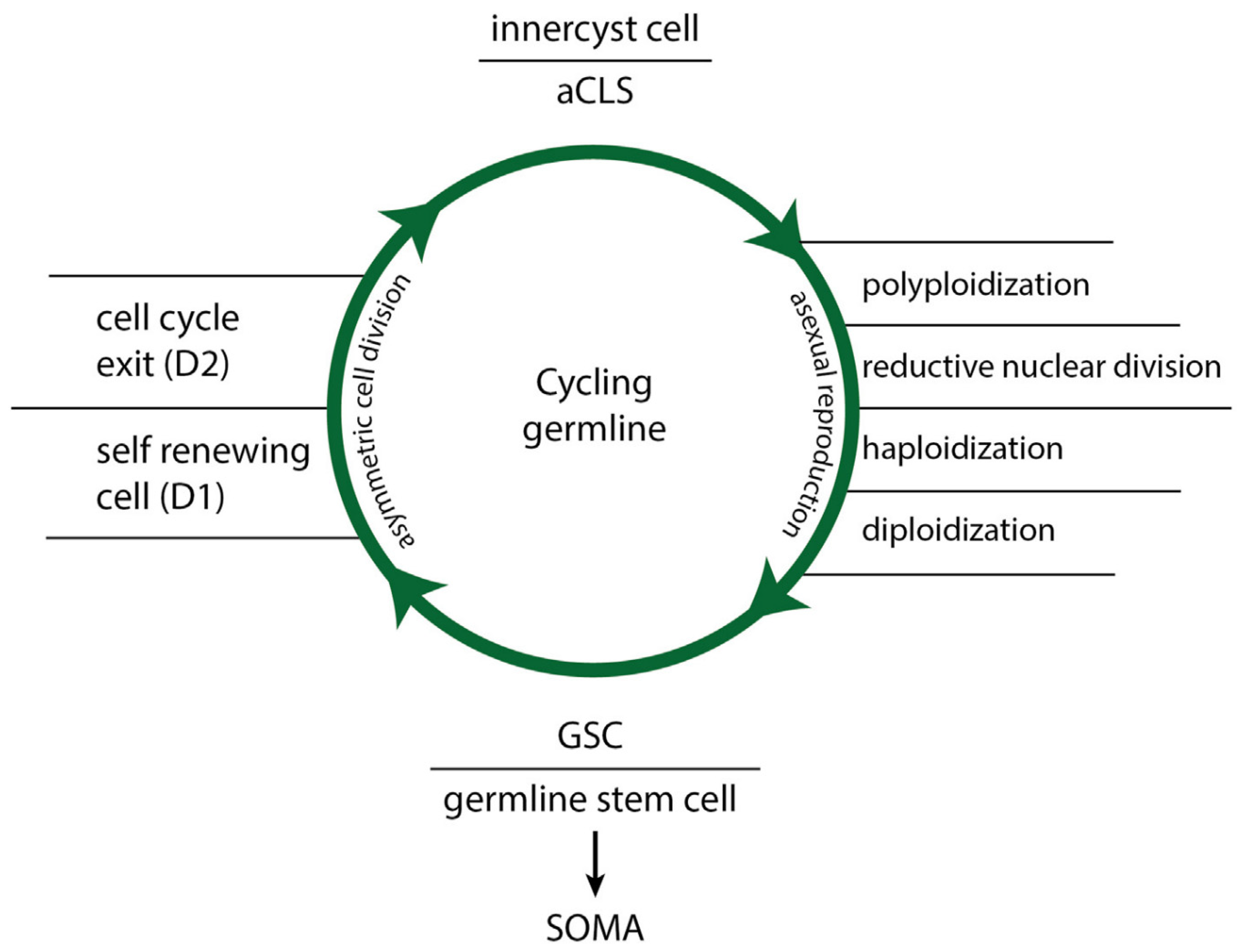 Preprints 109386 g002