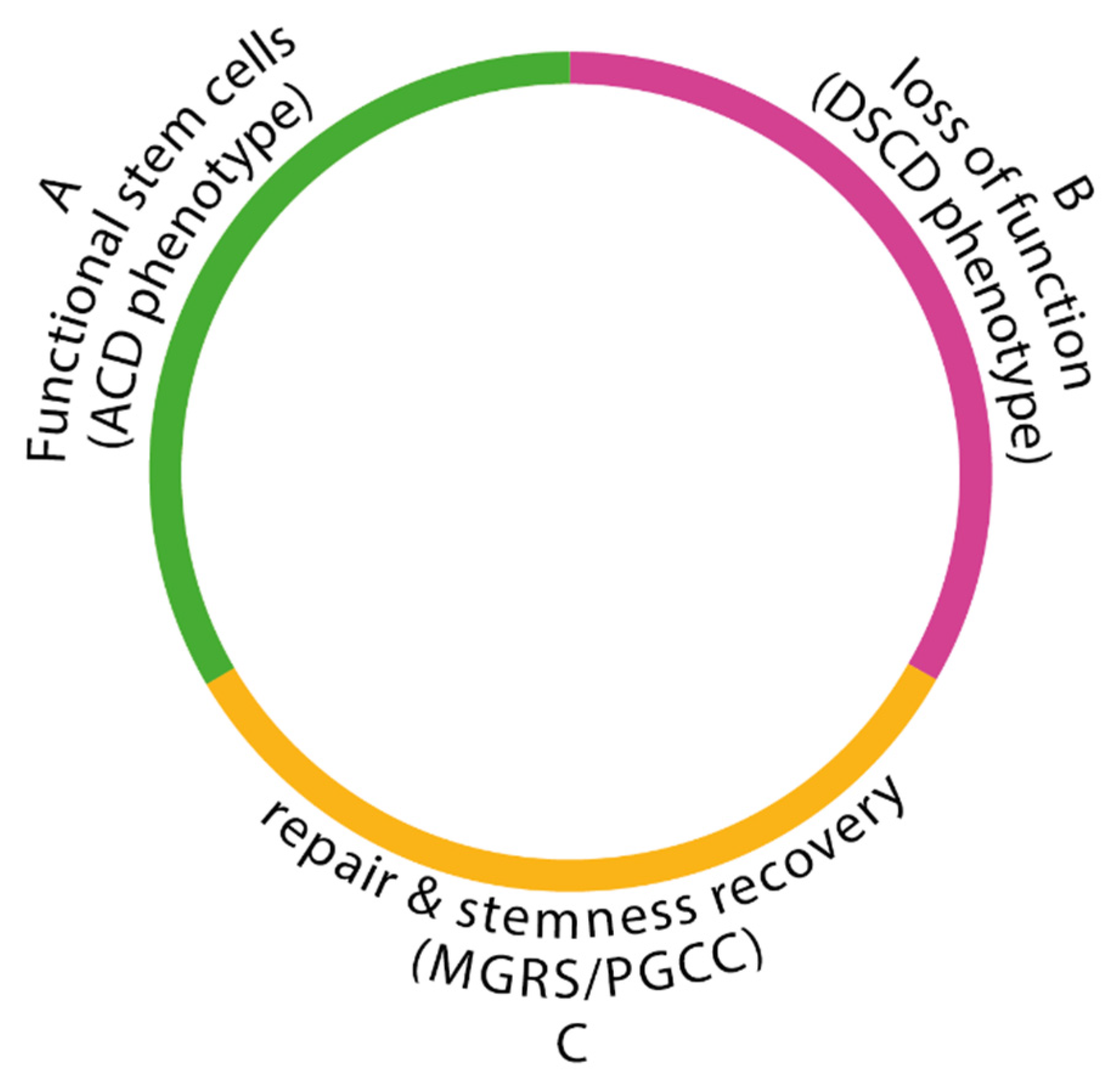 Preprints 109386 g003