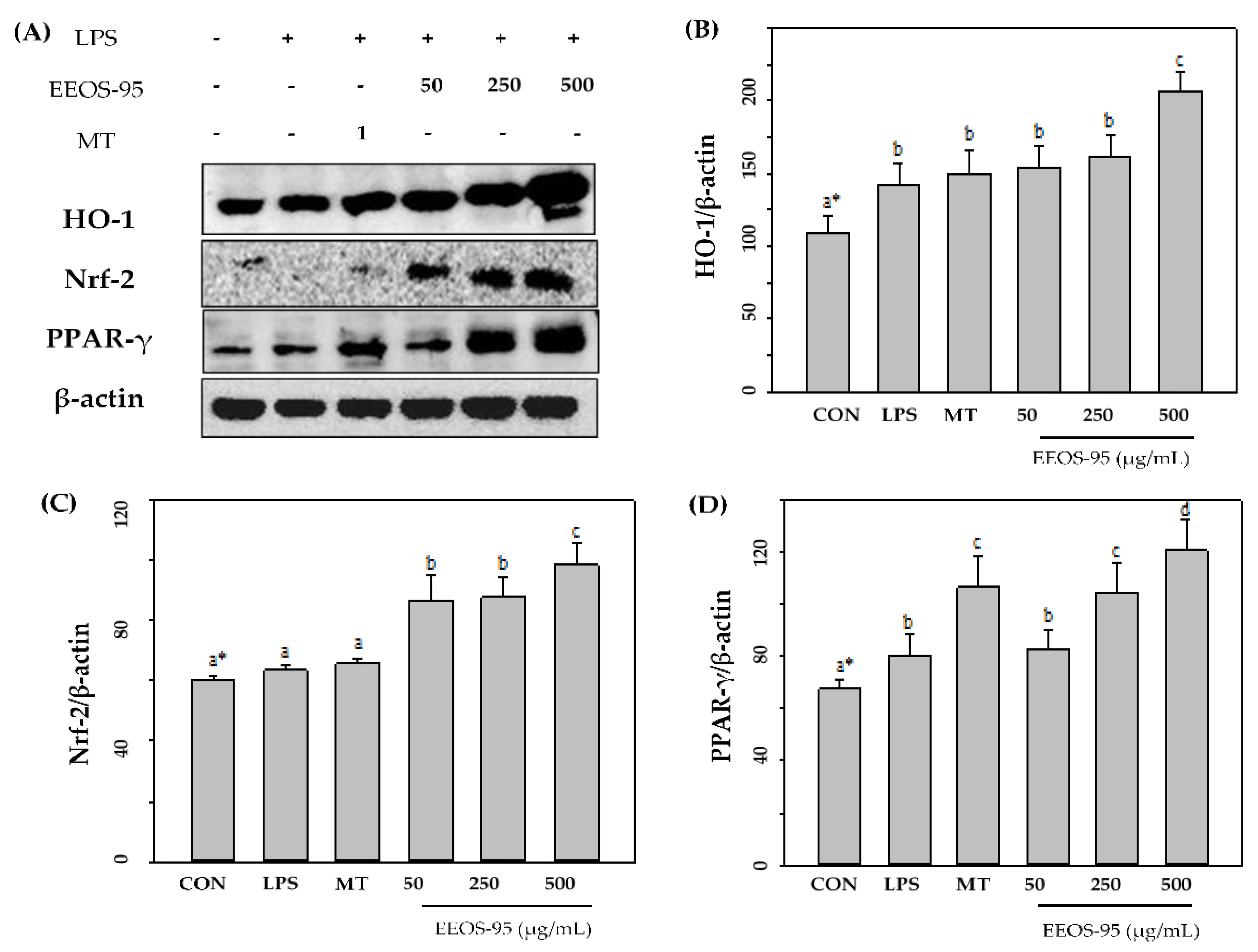 Preprints 103928 g004