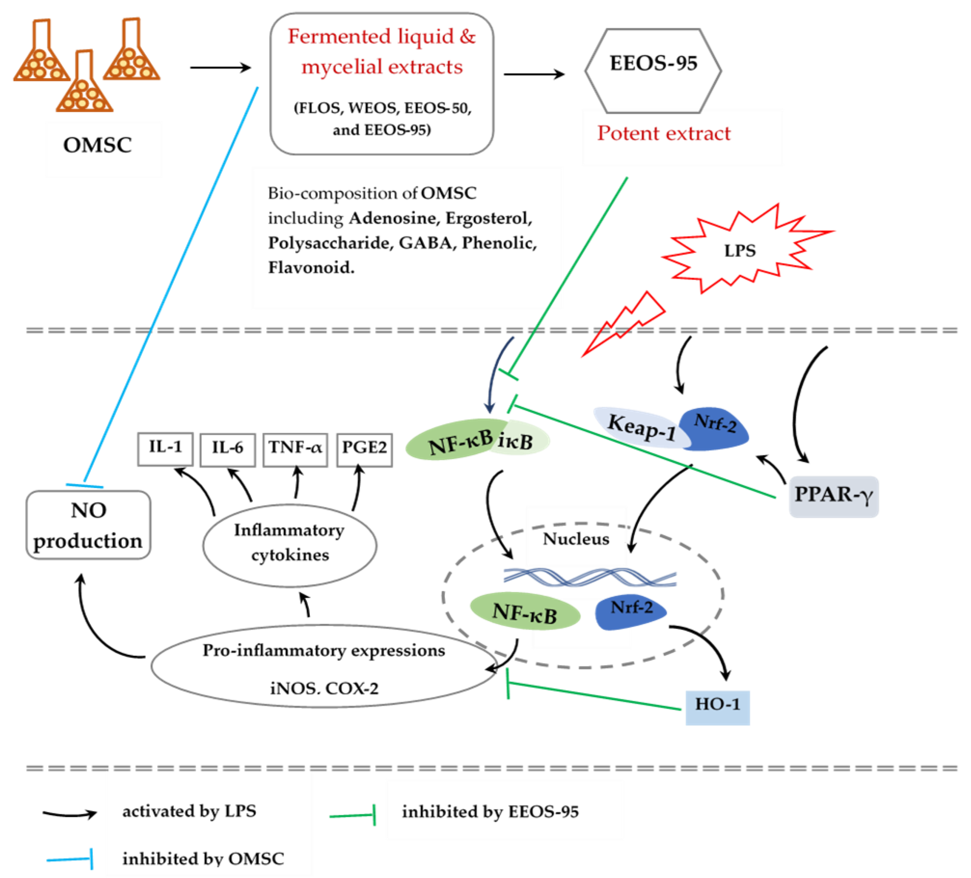 Preprints 103928 g005