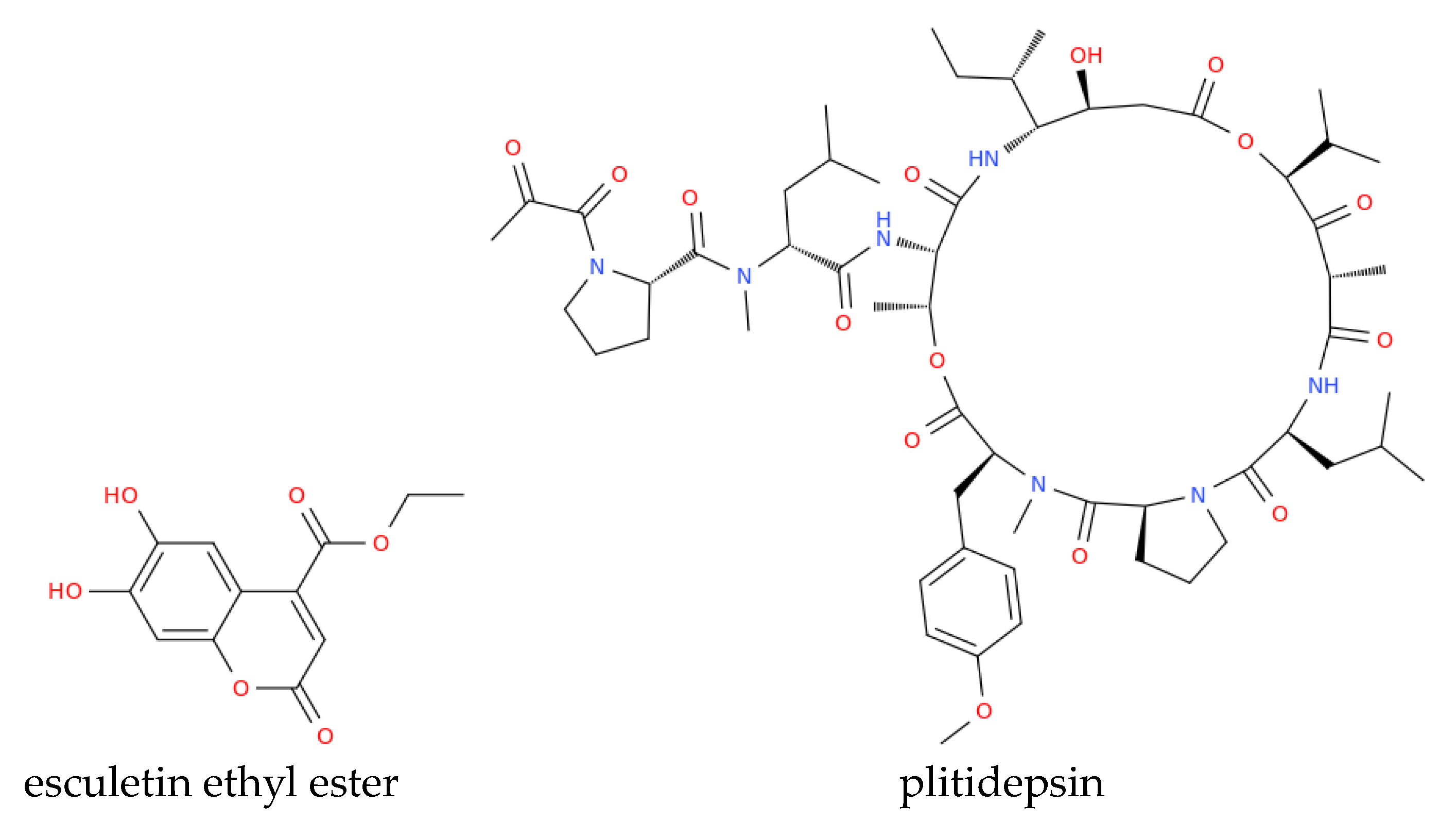 Preprints 138125 g002b