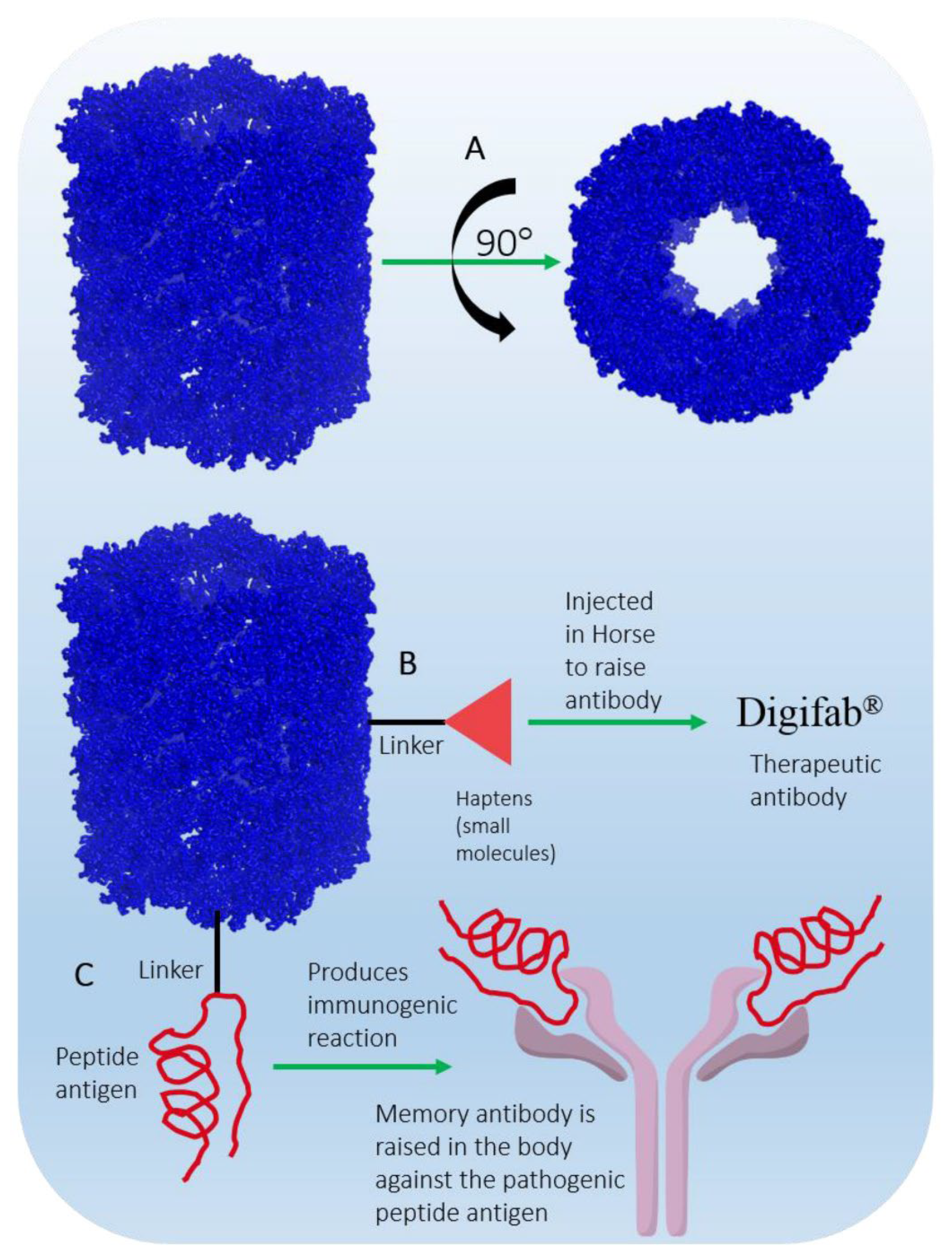 Preprints 138125 g005