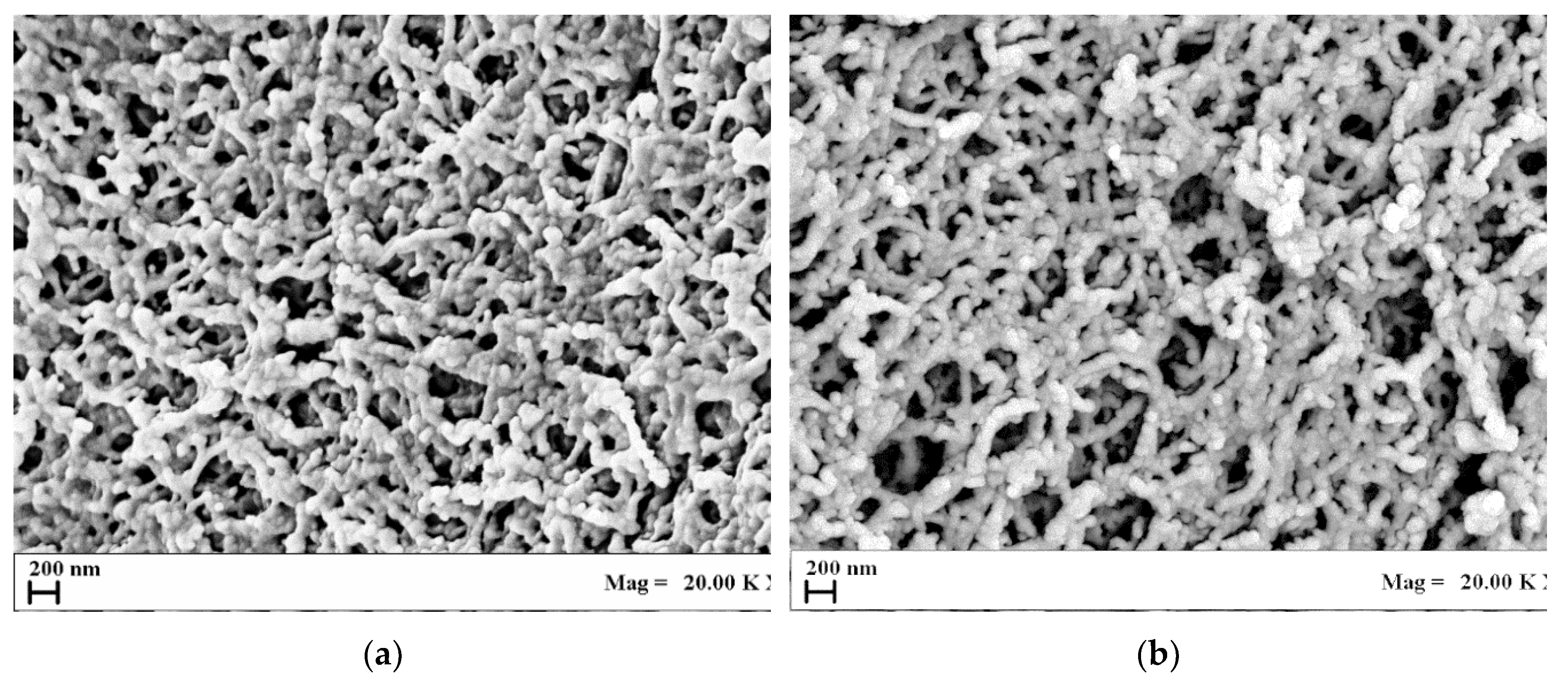 Preprints 113389 g001