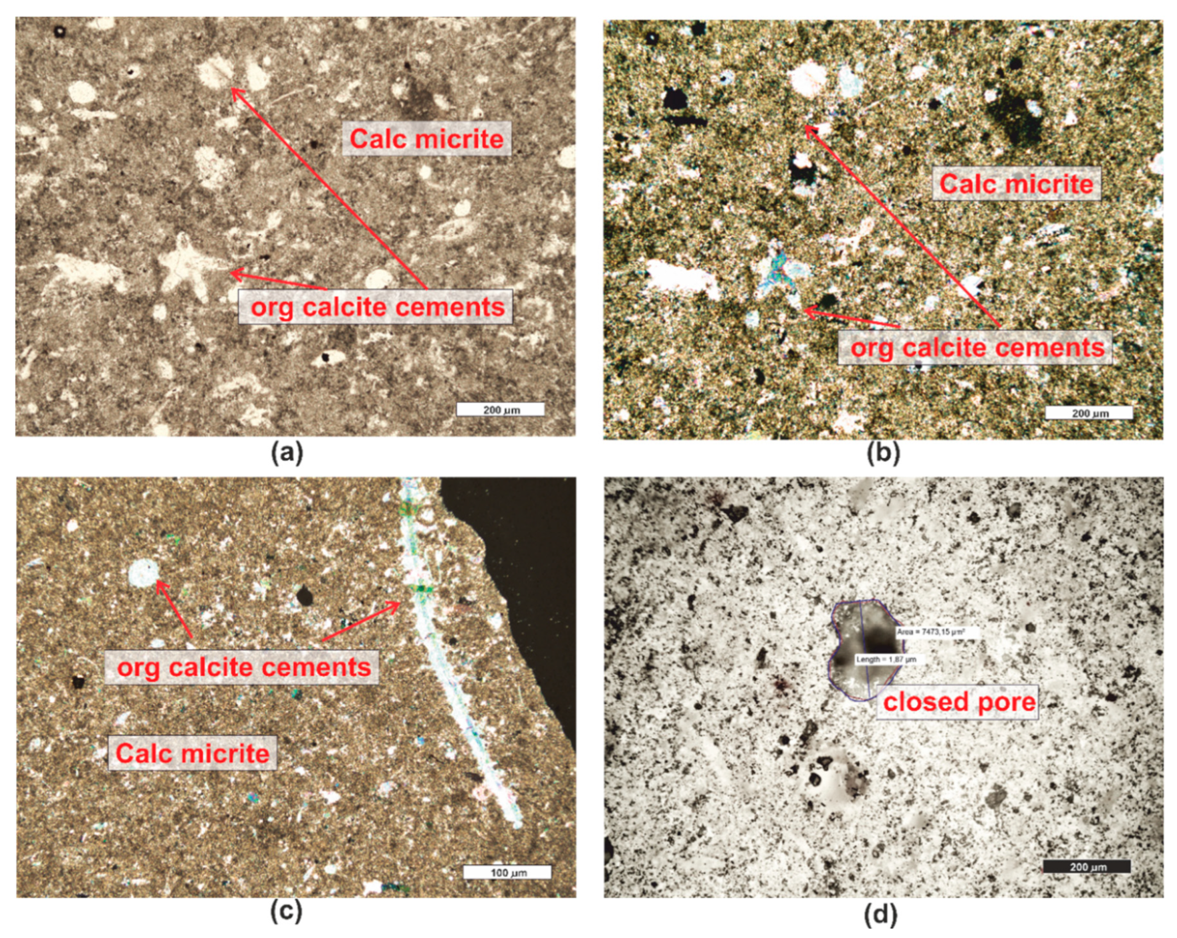 Preprints 91442 g006