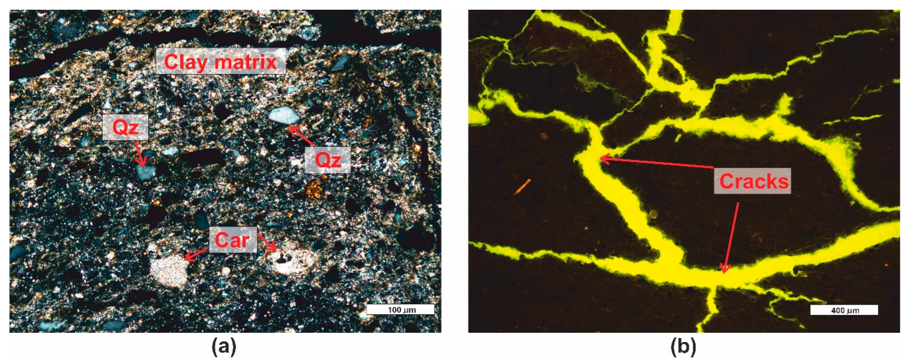 Preprints 91442 g008