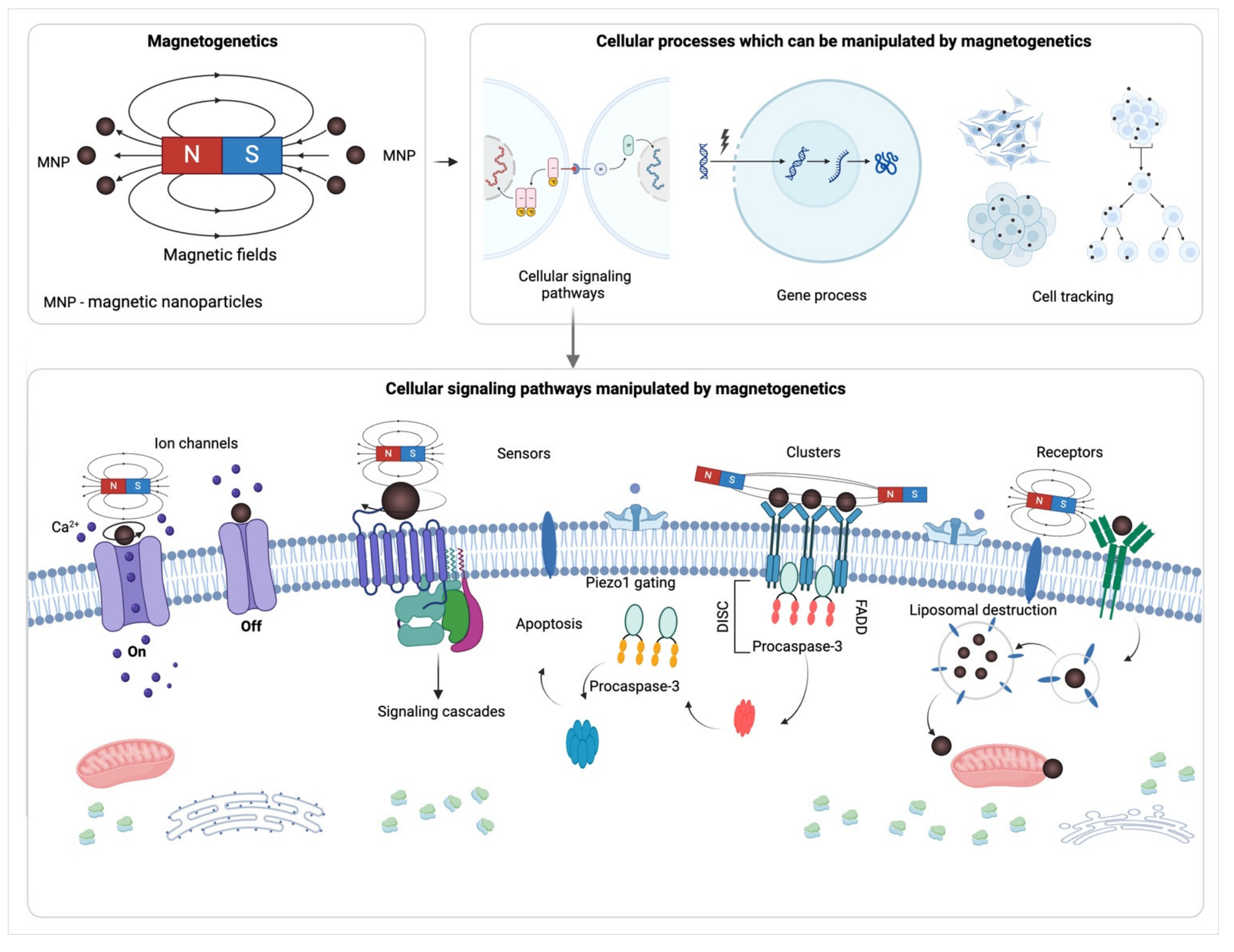 Preprints 106309 g001