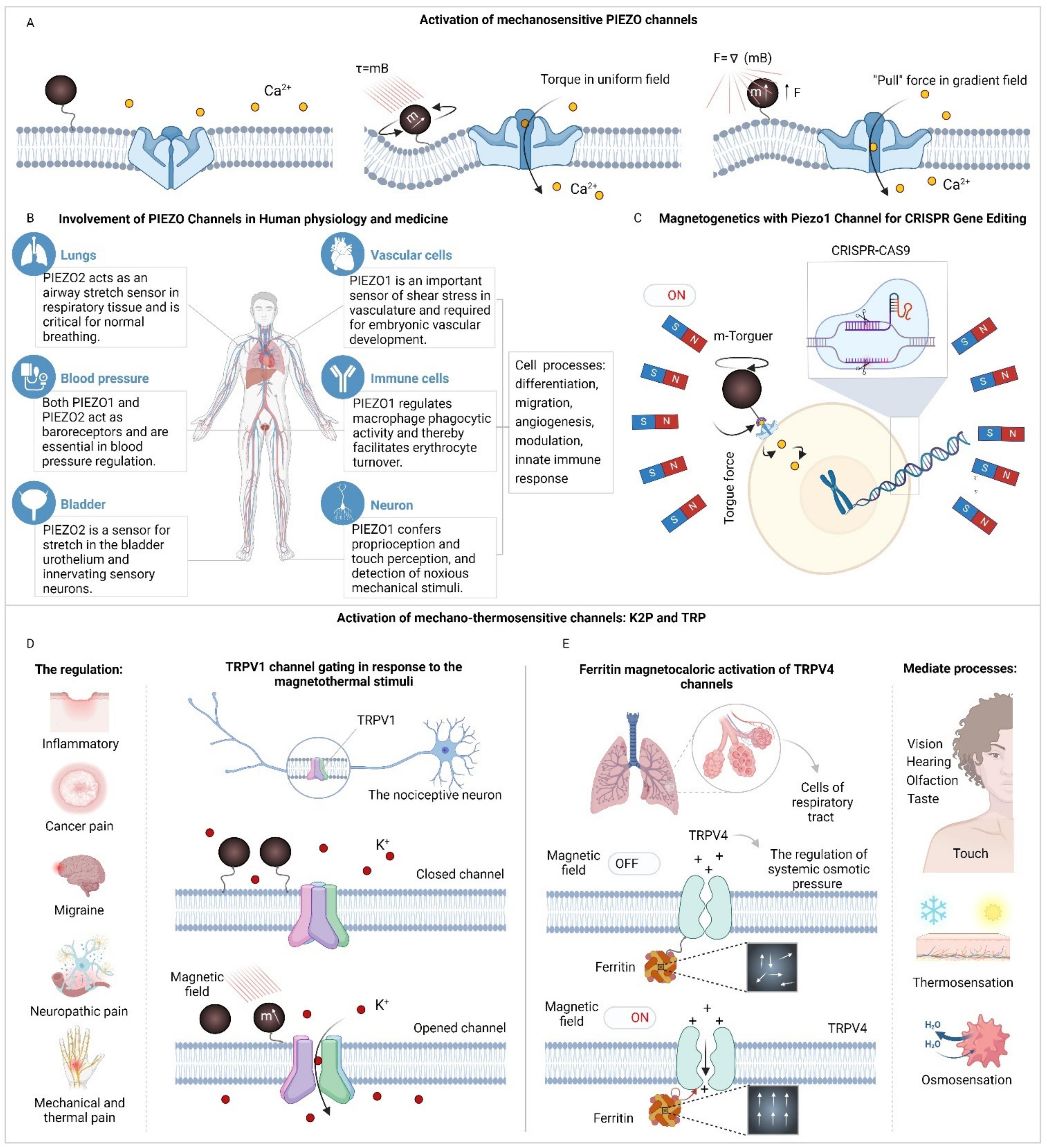 Preprints 106309 g003