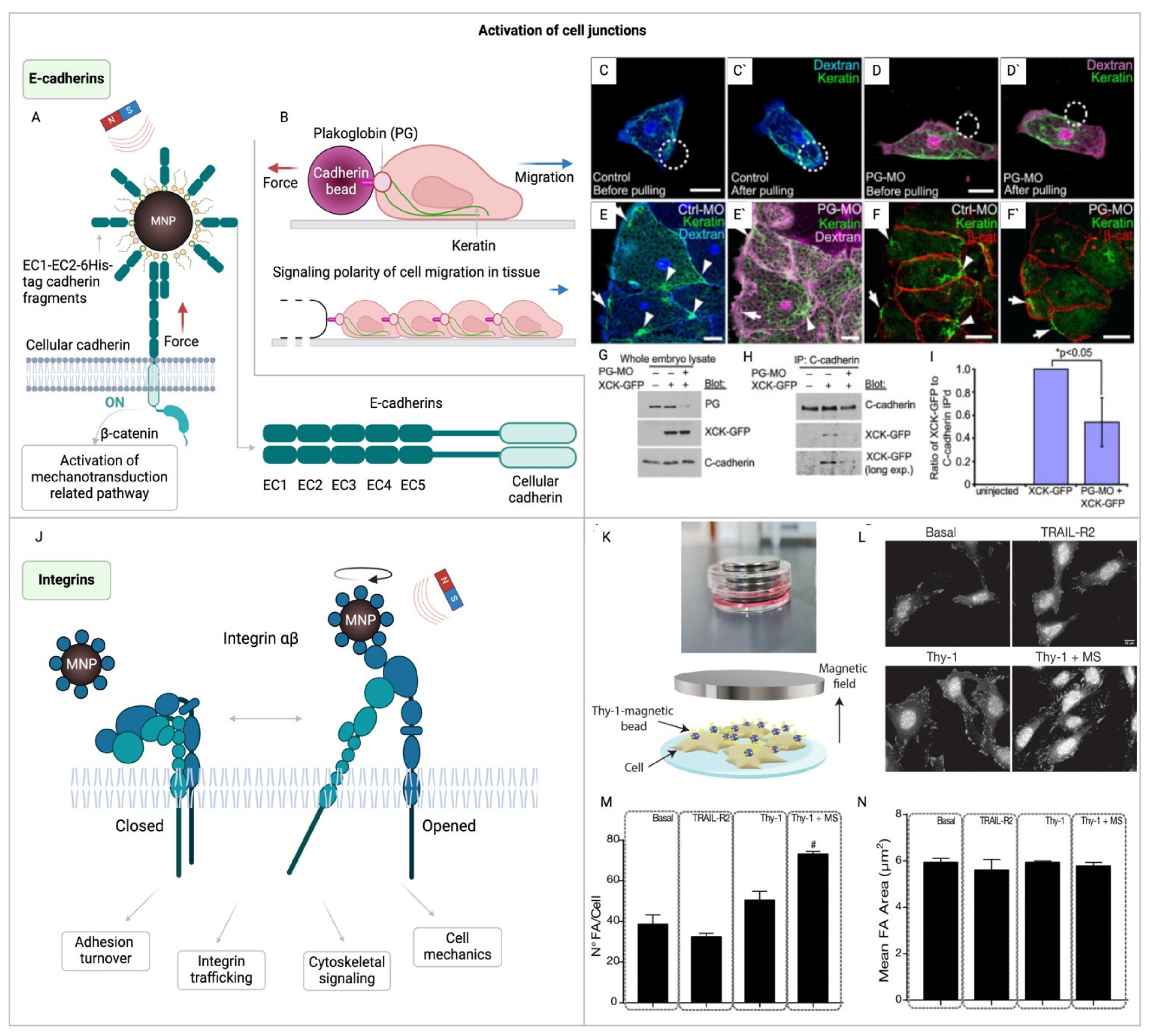 Preprints 106309 g004