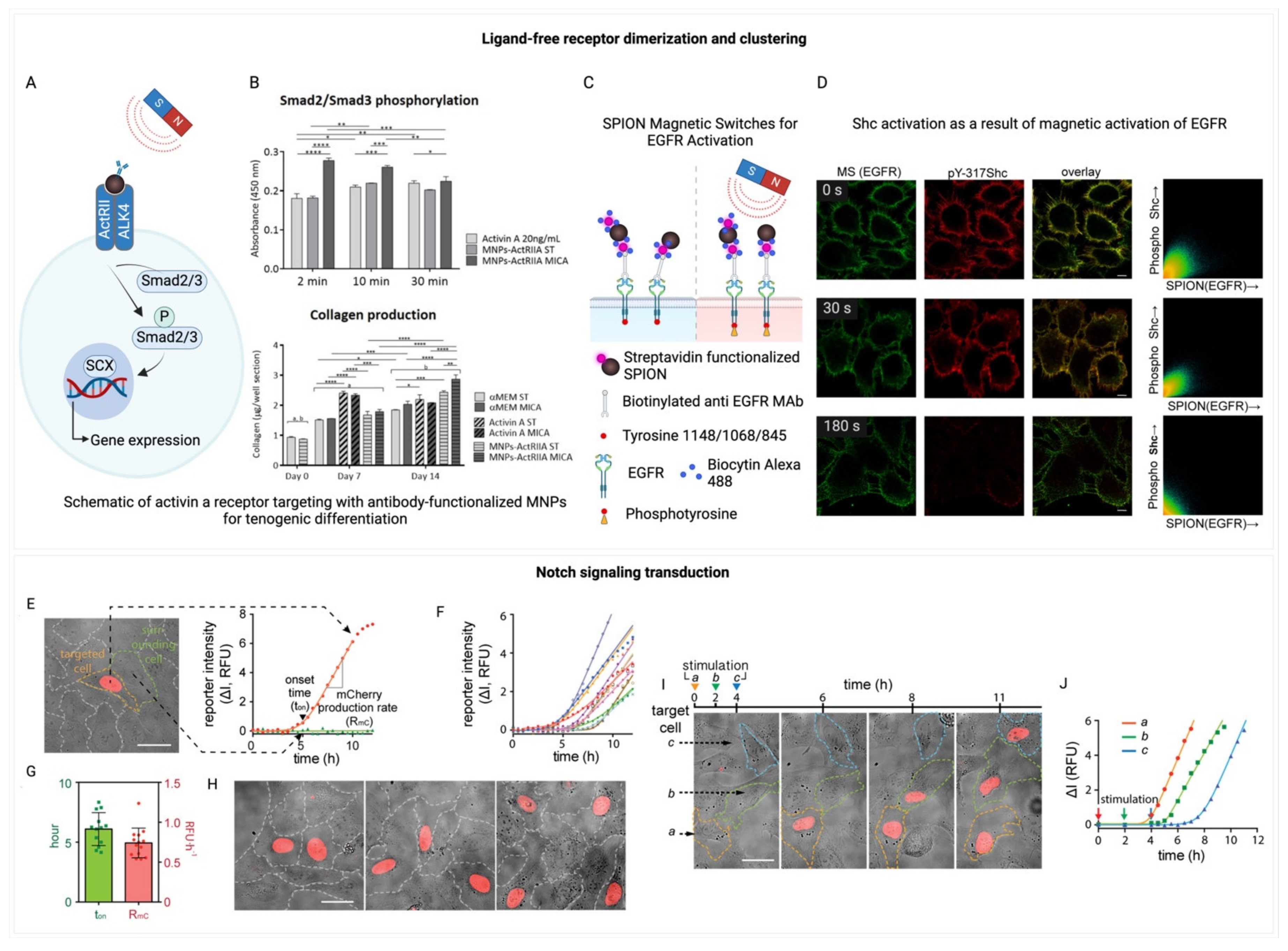 Preprints 106309 g006