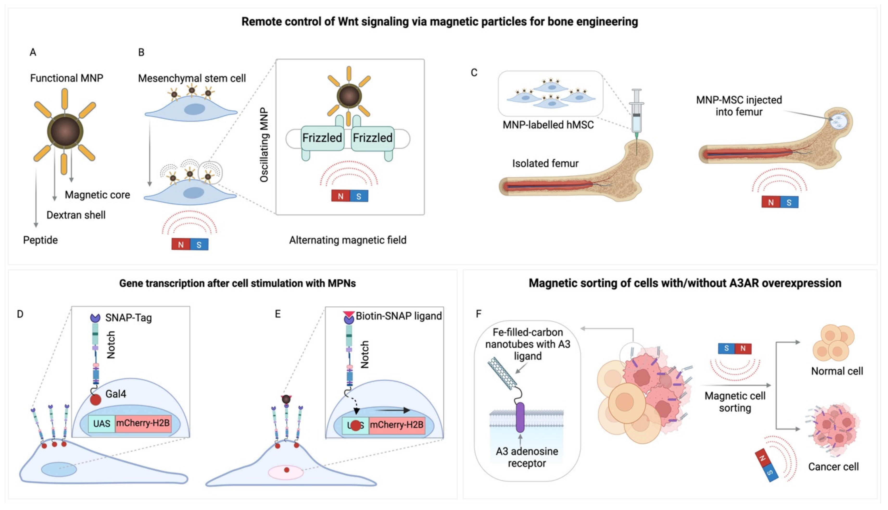 Preprints 106309 g007