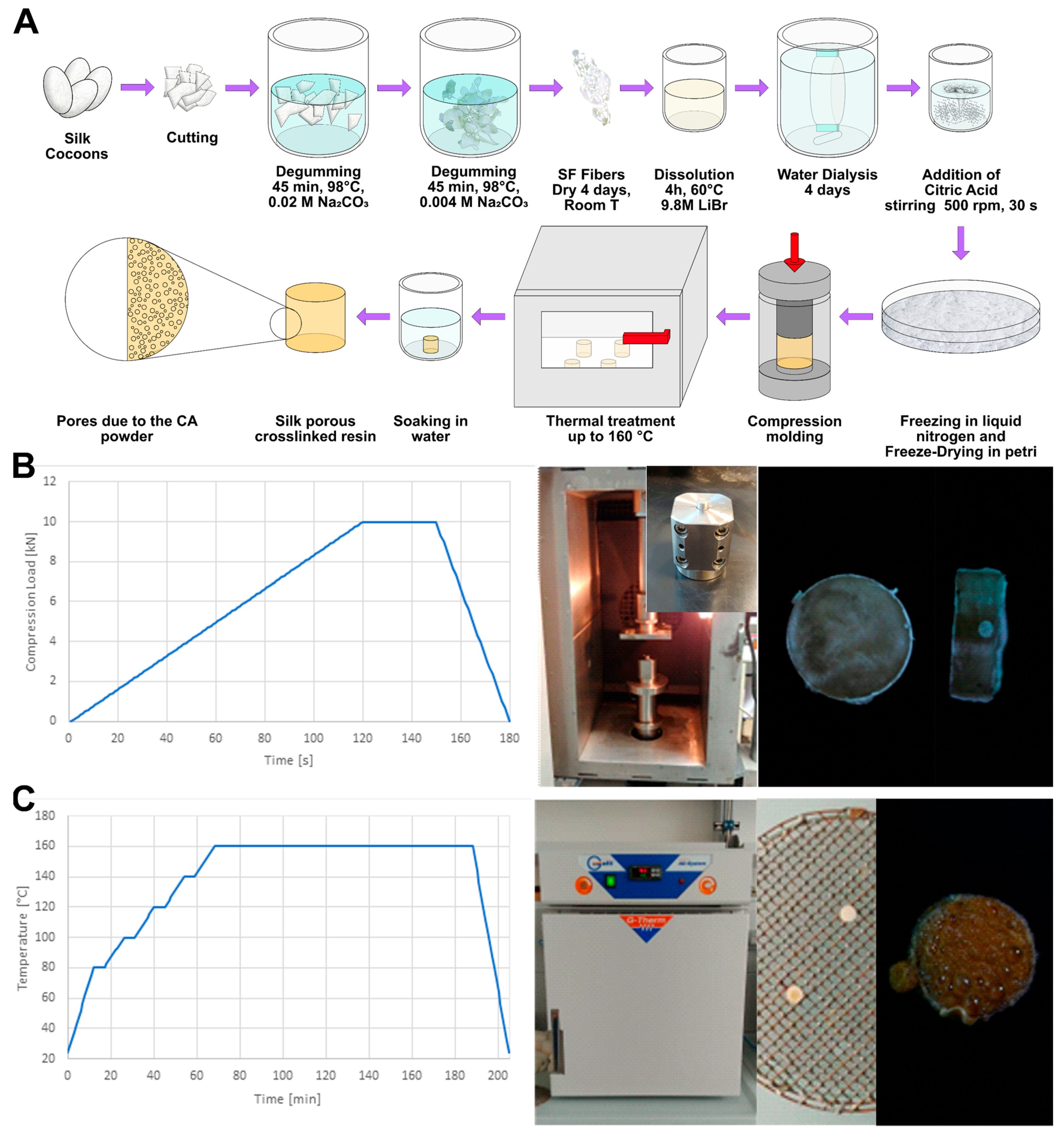 Preprints 66833 g001