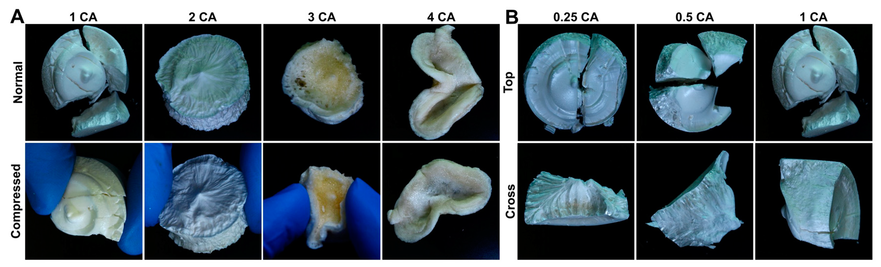 Preprints 66833 g002