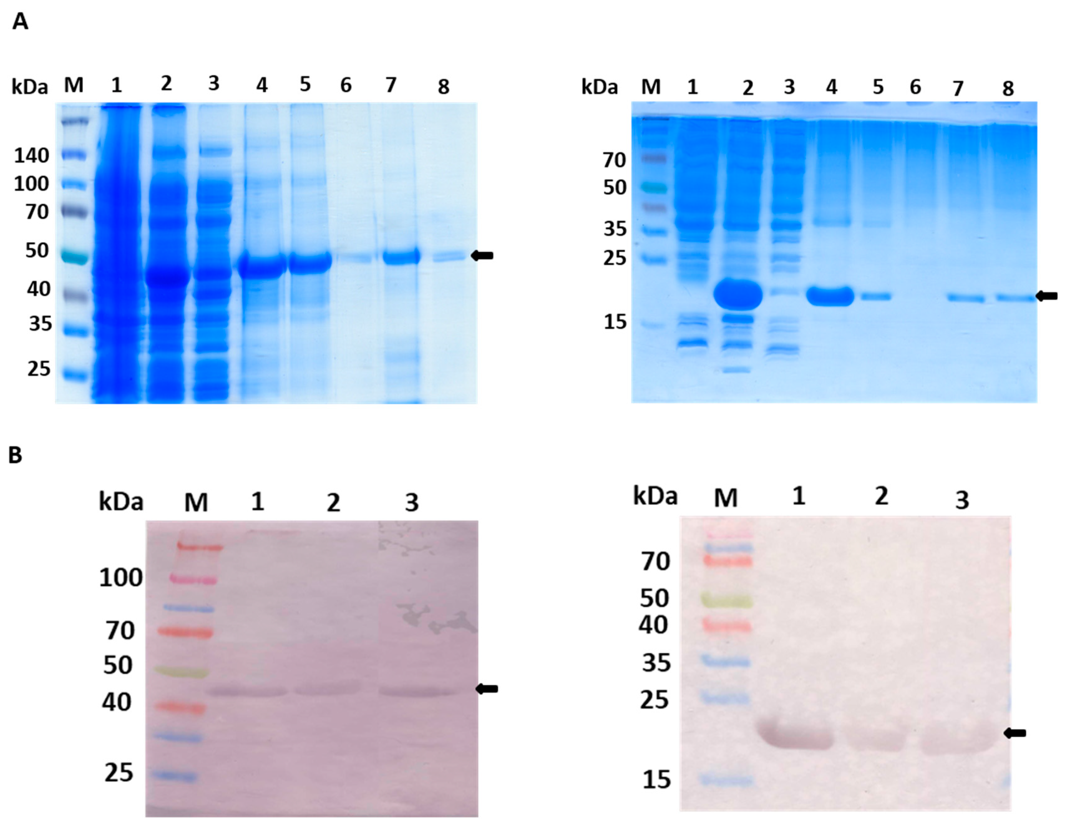 Preprints 110046 g002