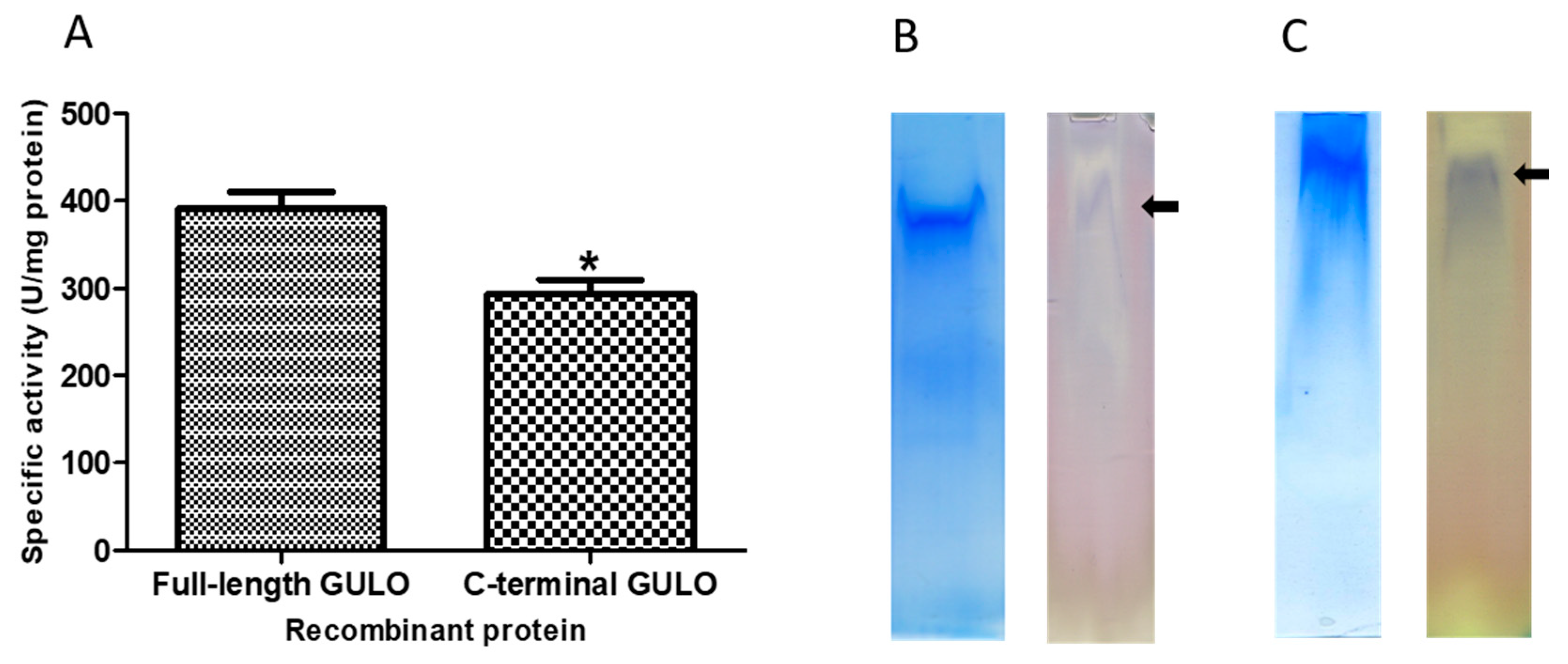 Preprints 110046 g003