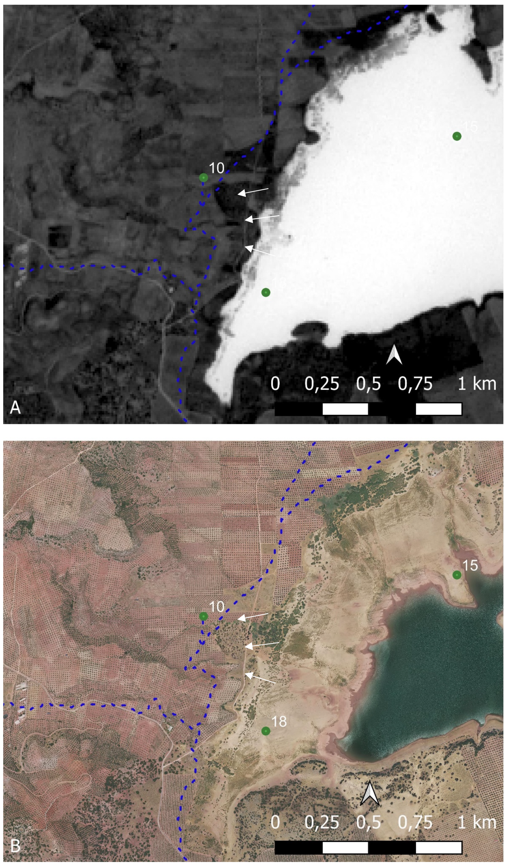 Preprints 98784 g012