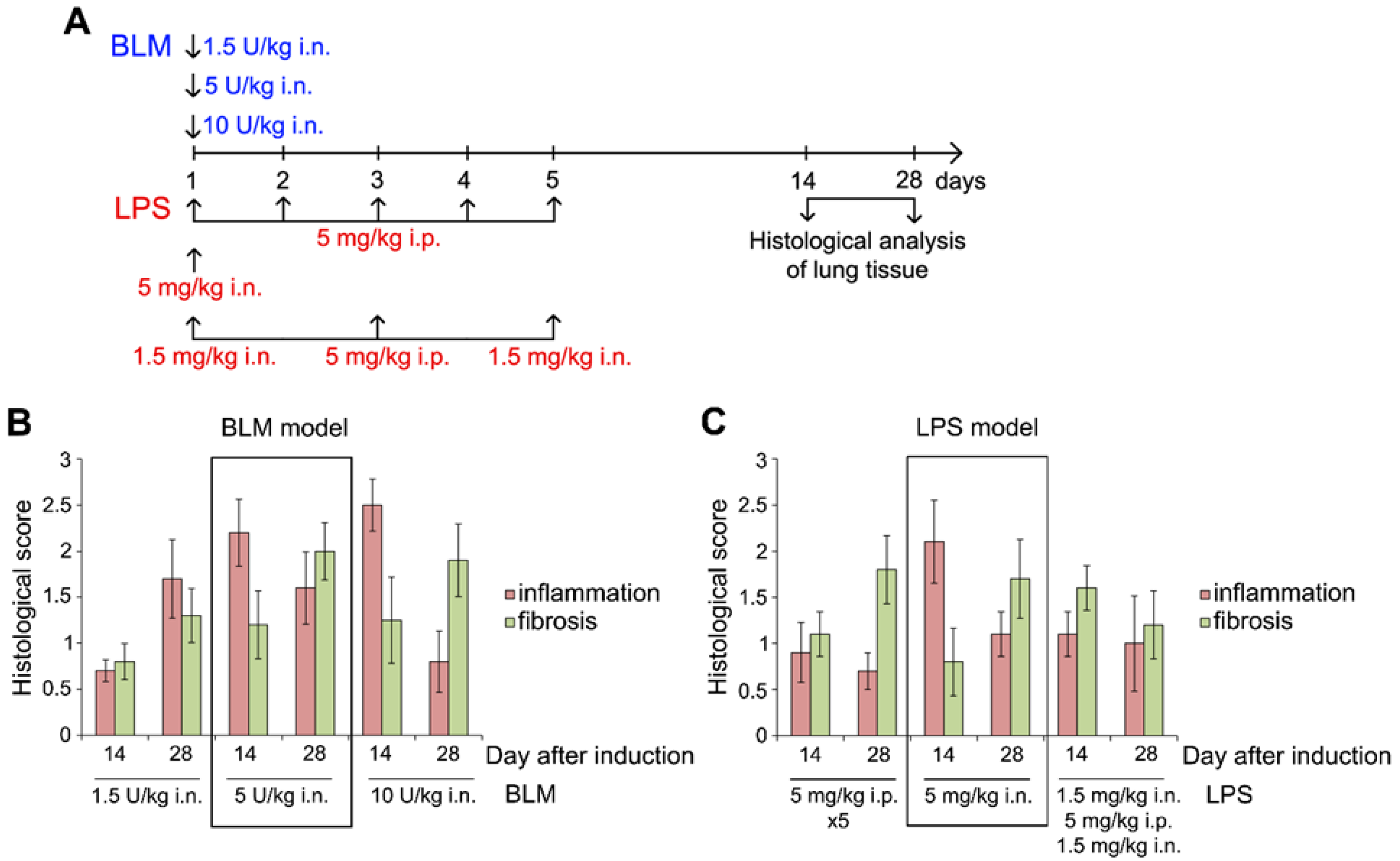 Preprints 104163 g001