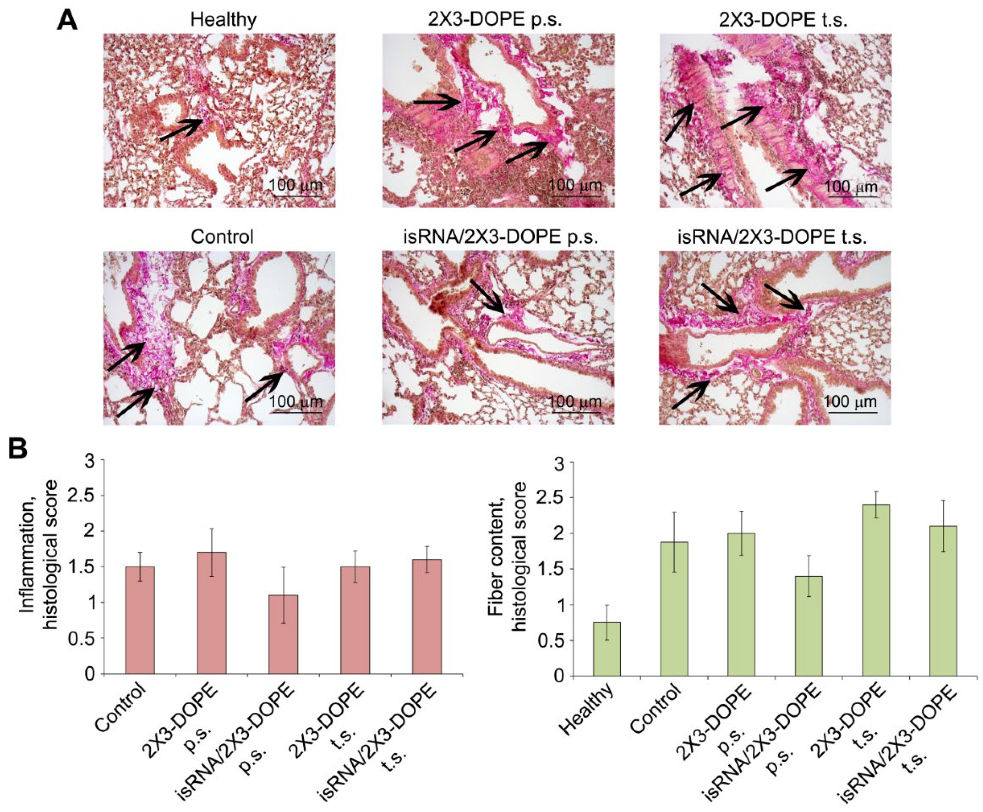 Preprints 104163 g004