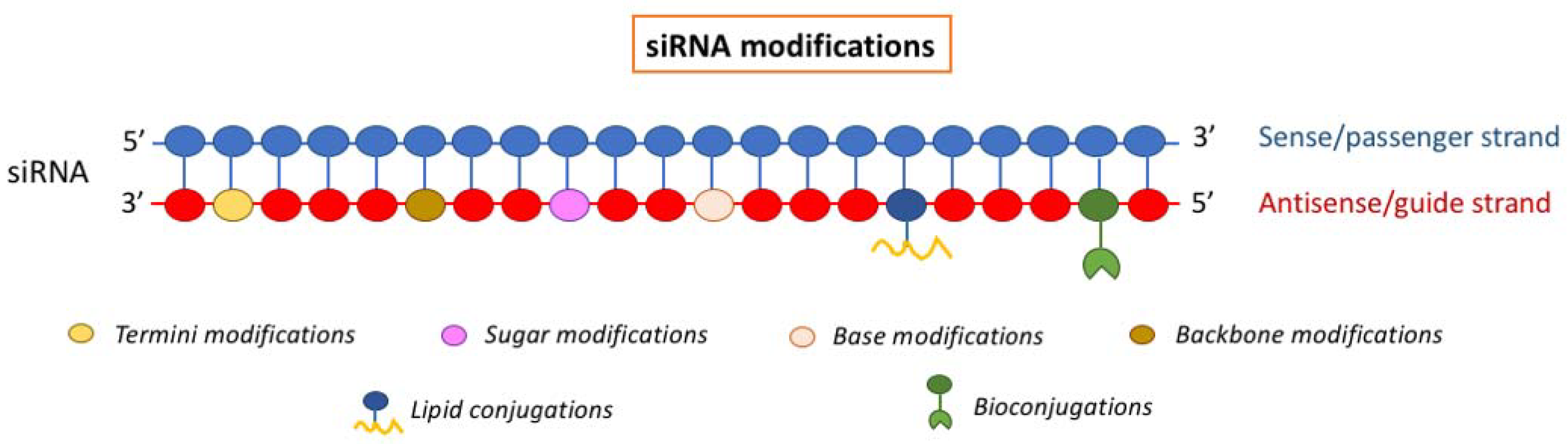 Preprints 77399 g001