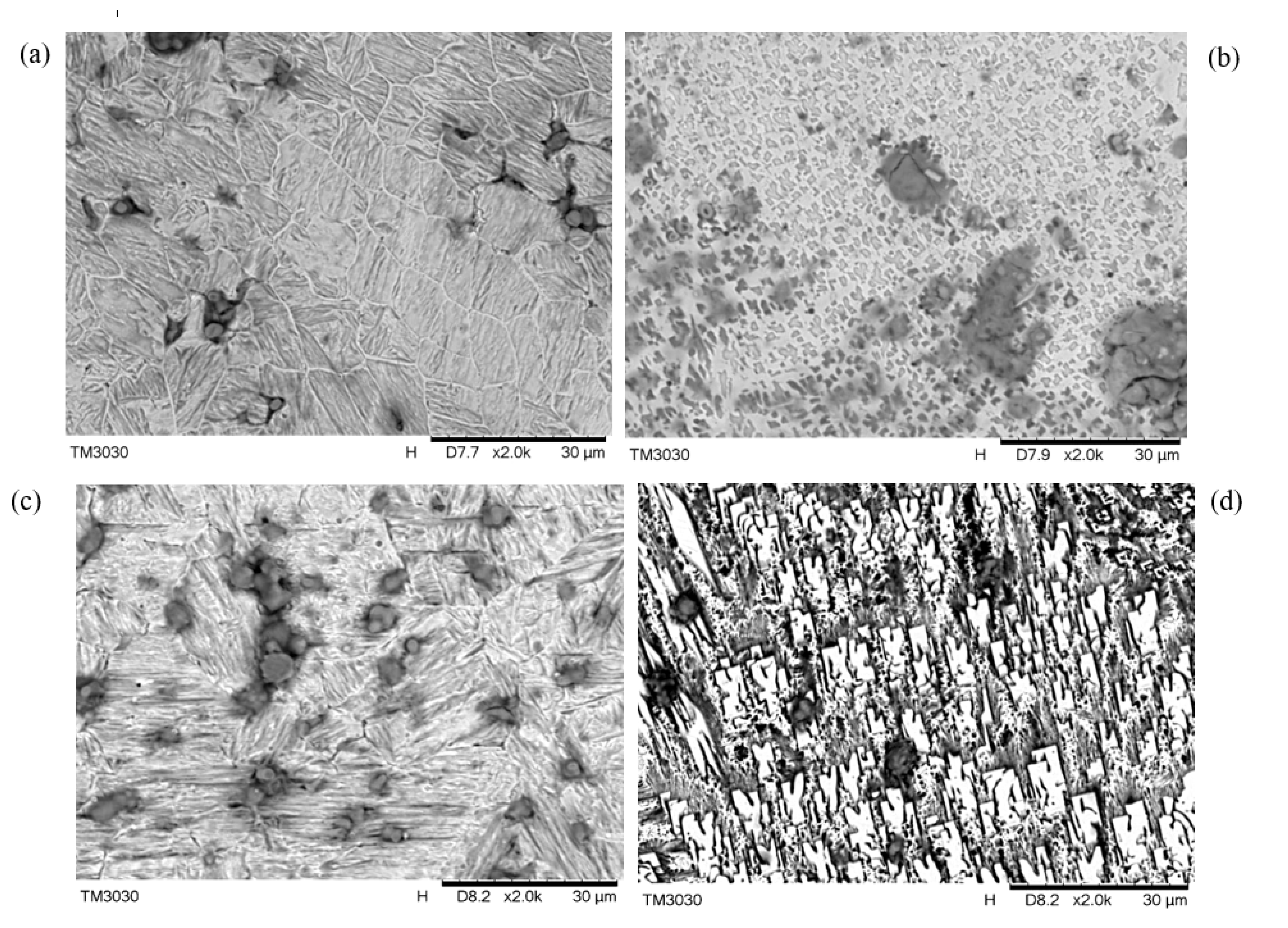 Preprints 104262 g006