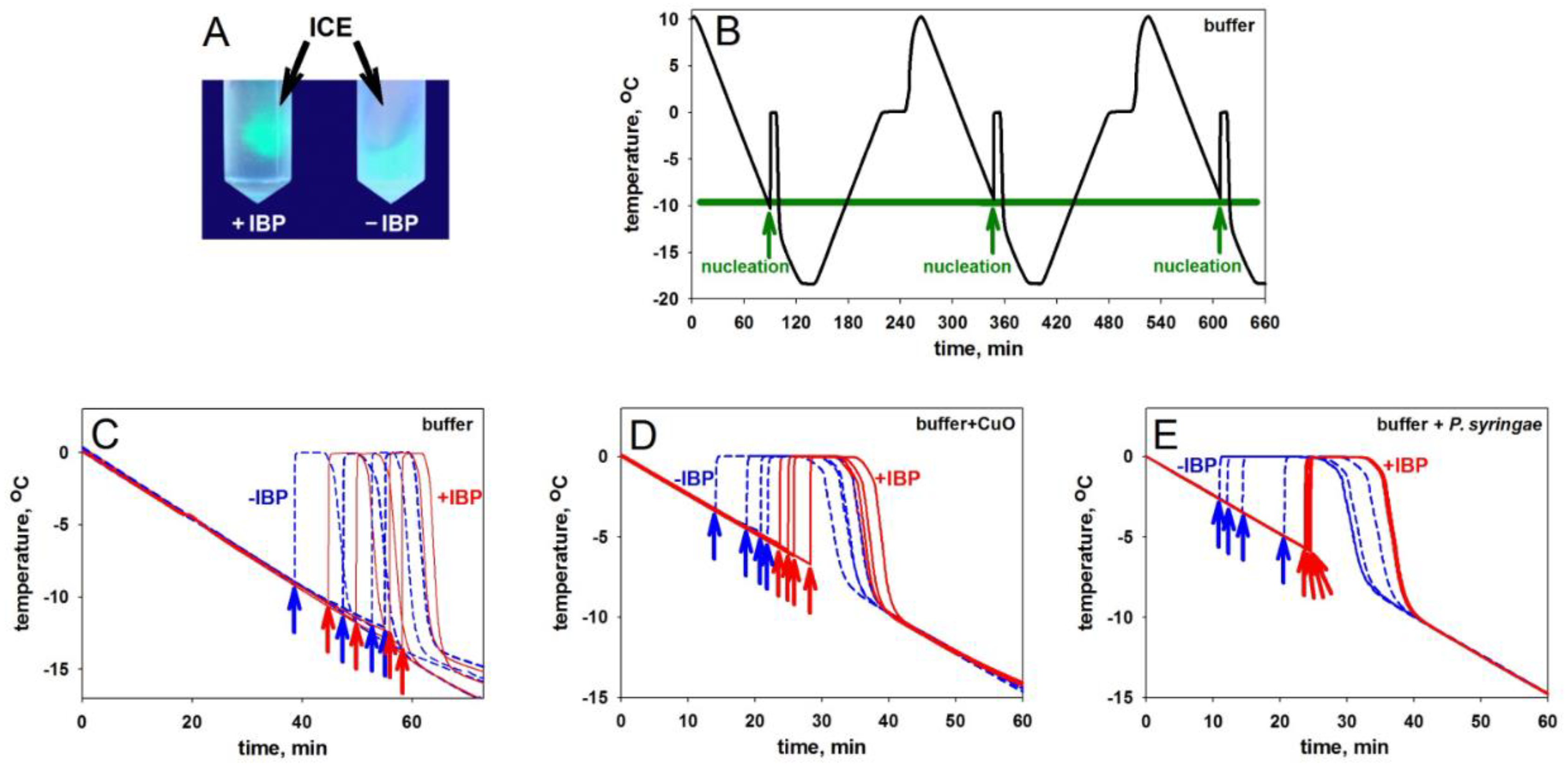 Preprints 85154 g001