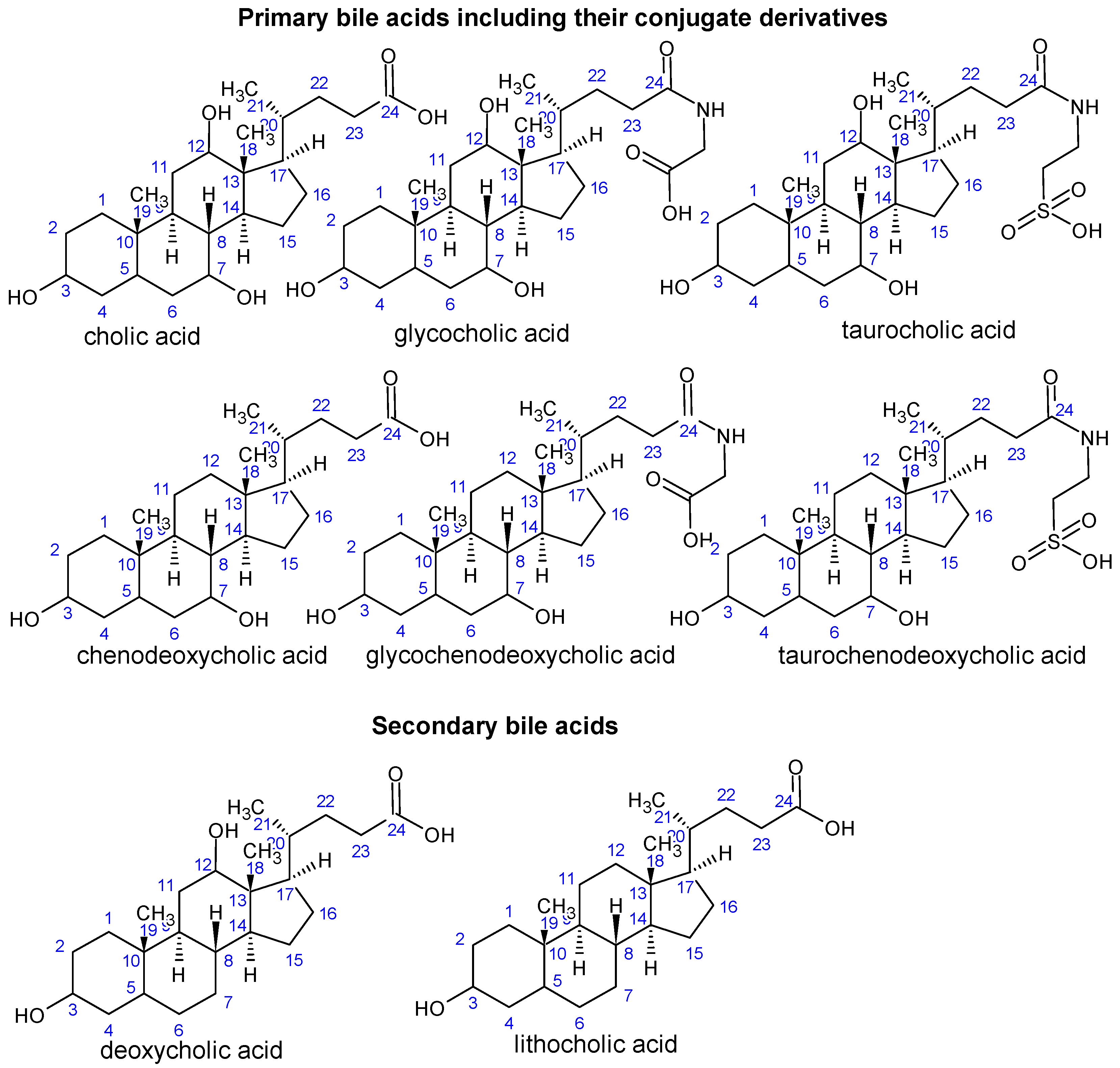 Preprints 122154 g002