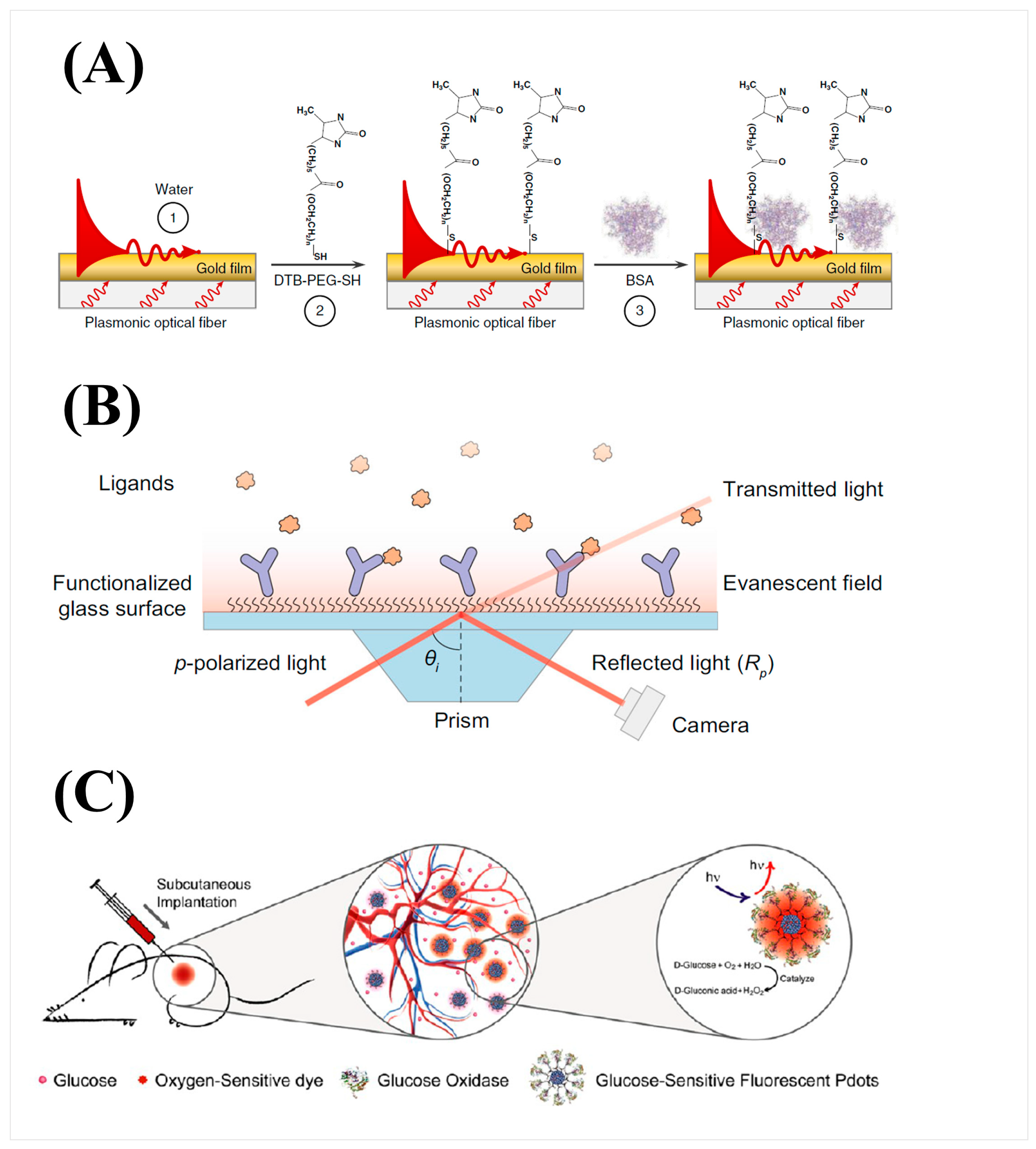 Preprints 95122 g001